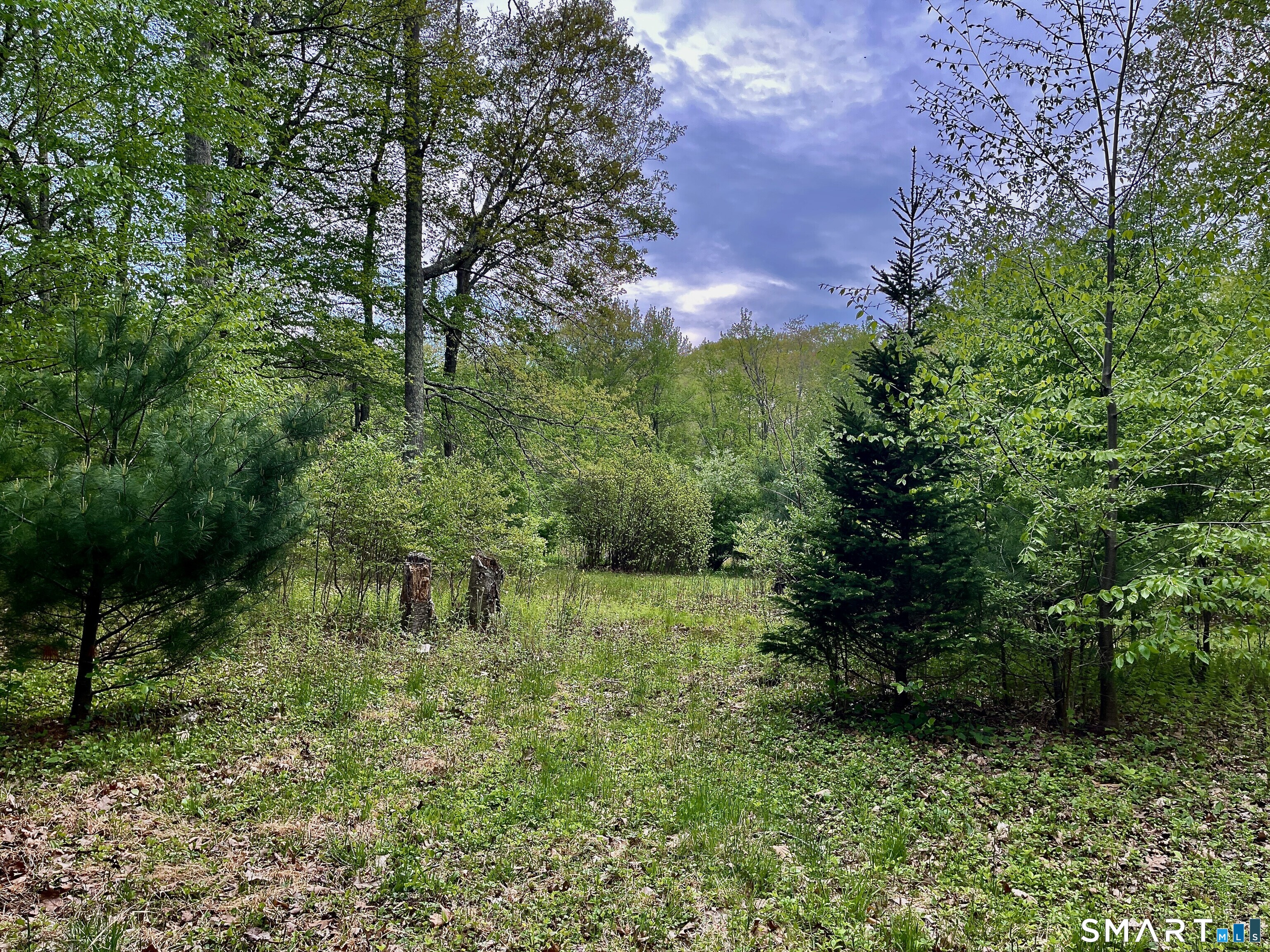 Meadow Brook Road Hebron CT 06231