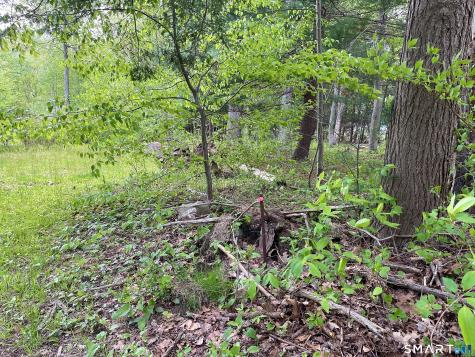 Meadow Brook Road Hebron CT 06231