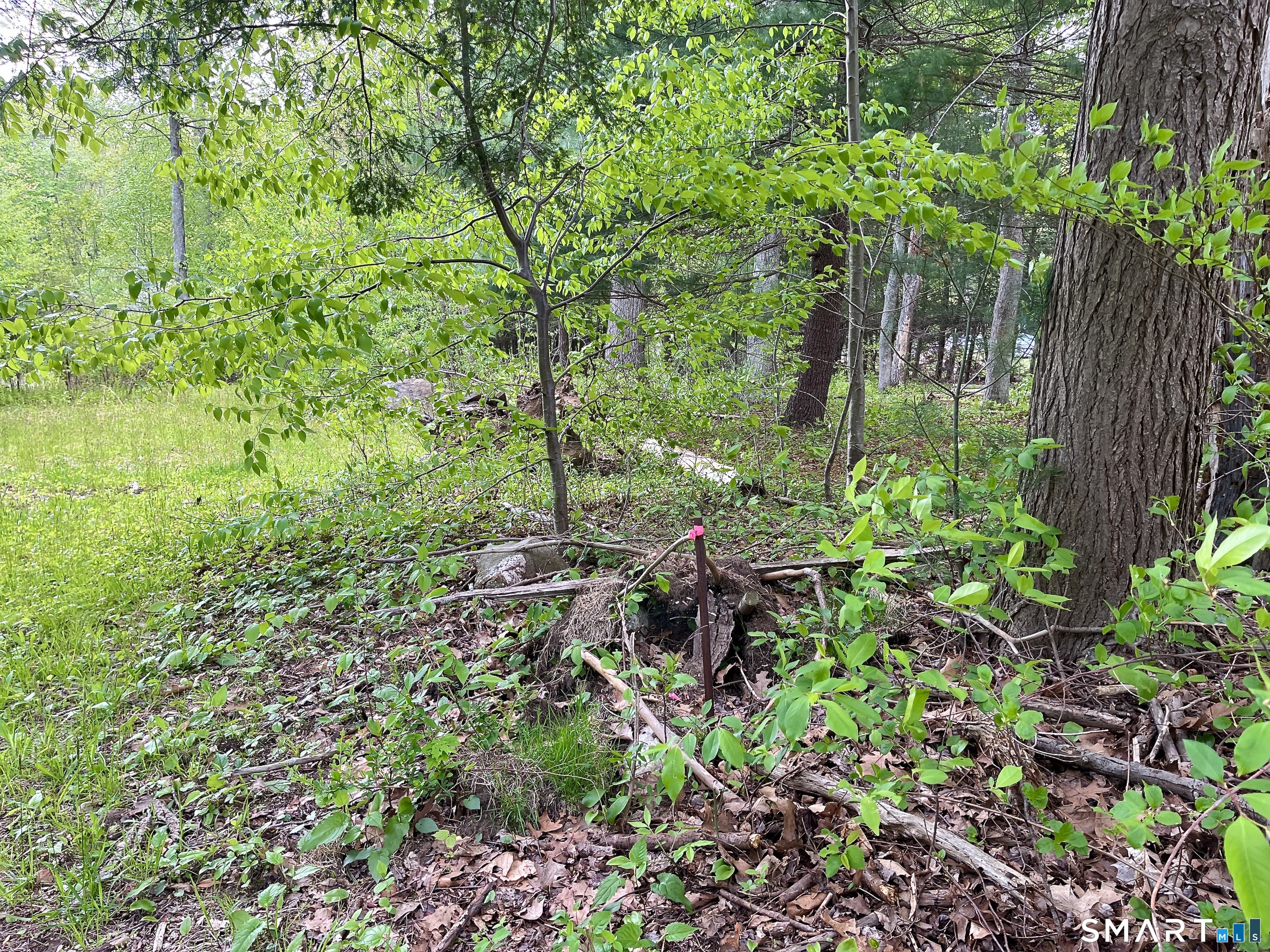 Meadow Brook Road Hebron CT 06231