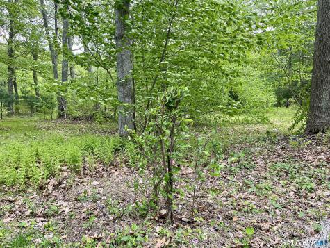 Meadow Brook Road Hebron CT 06231