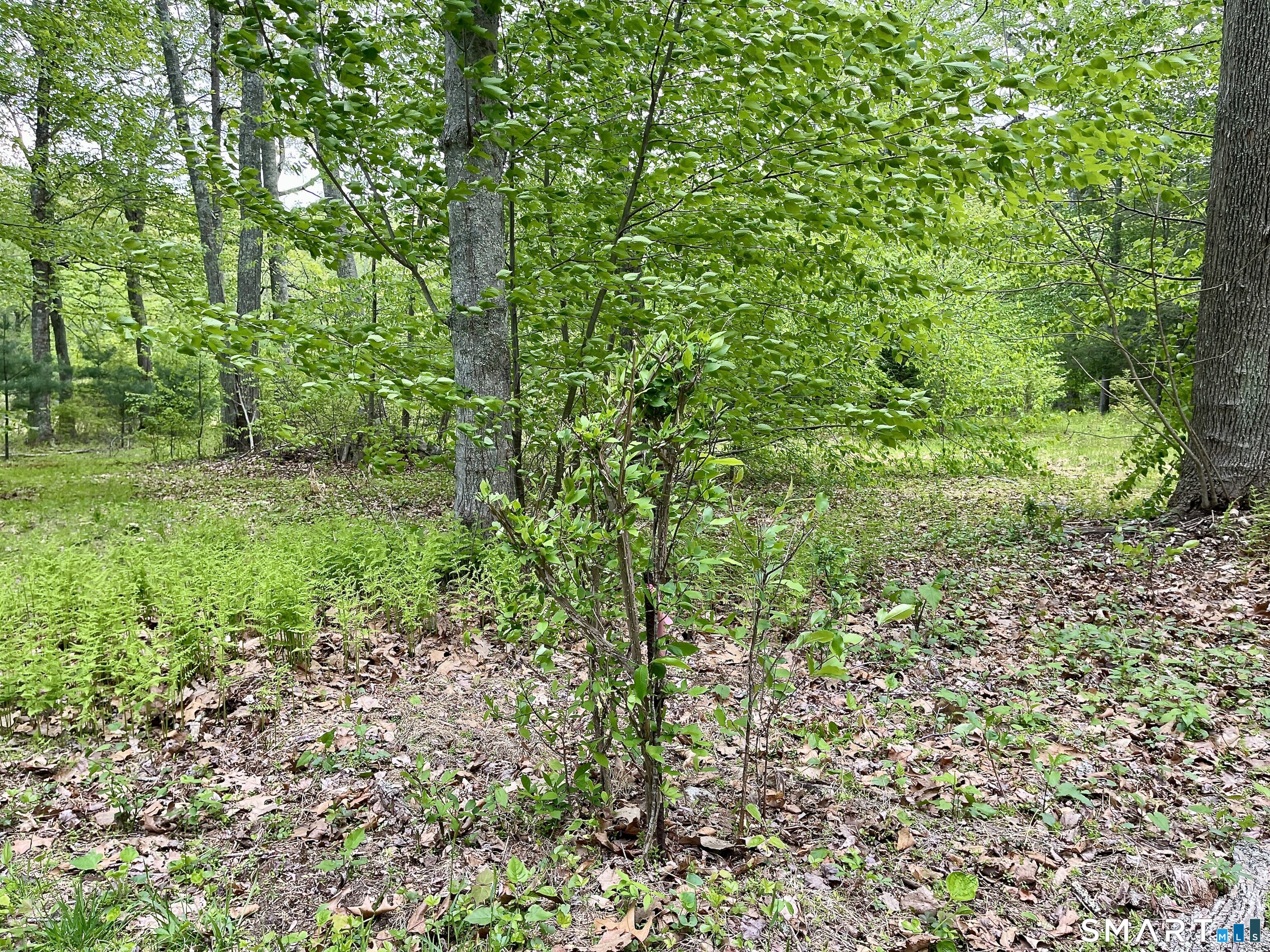Meadow Brook Road Hebron CT 06231