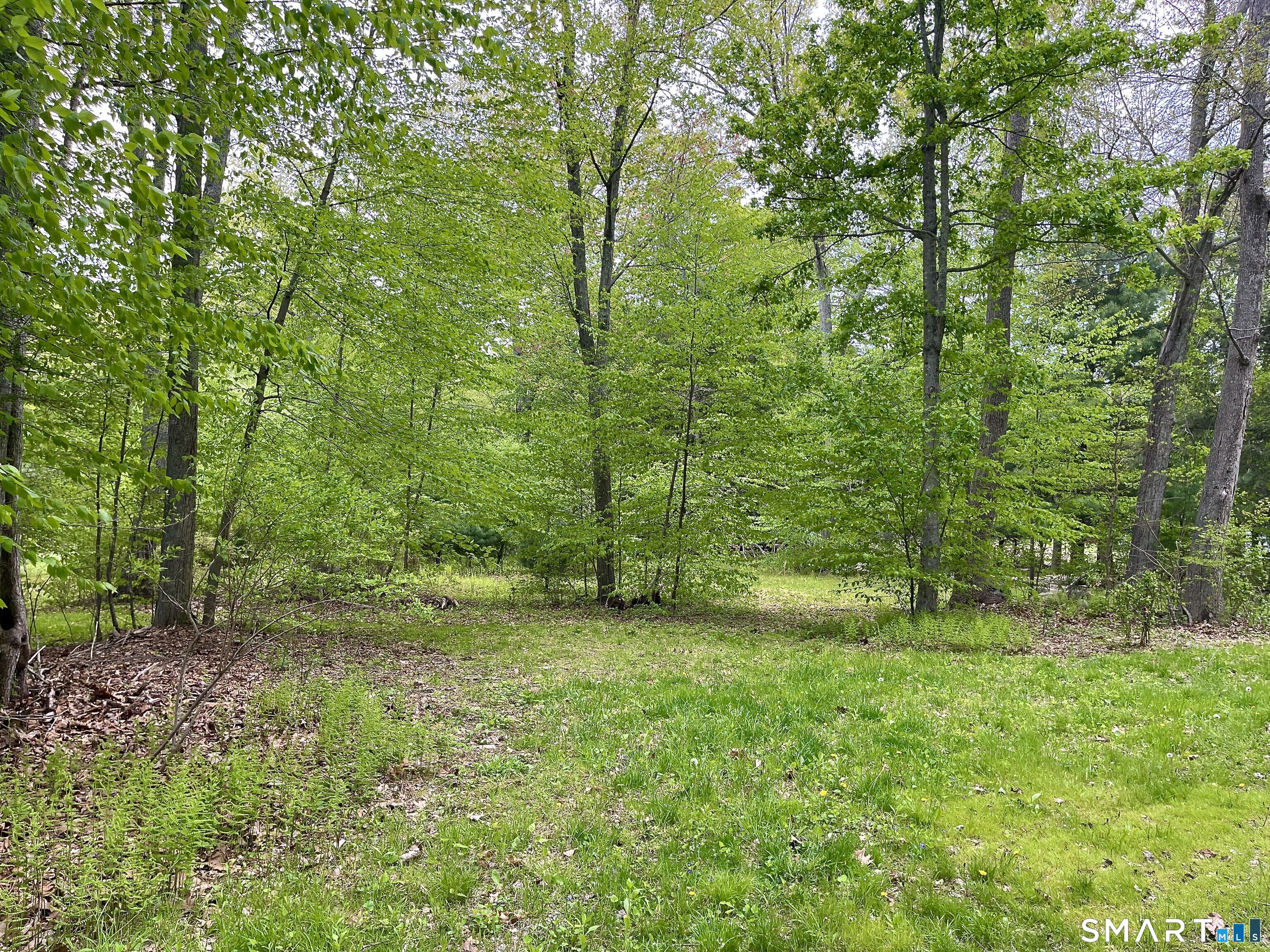 Meadow Brook Road Hebron CT 06231