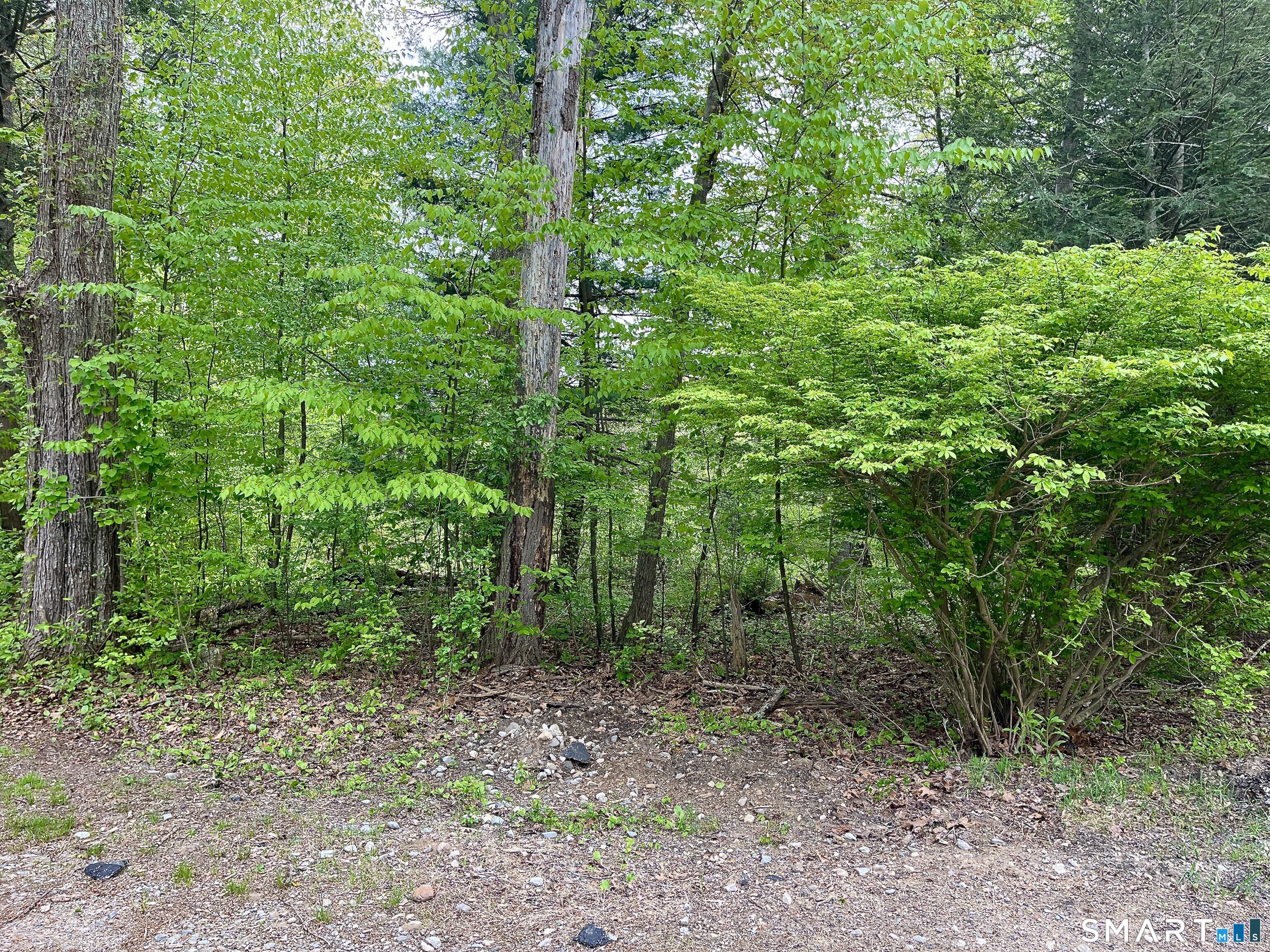 Meadow Brook Road Hebron CT 06231