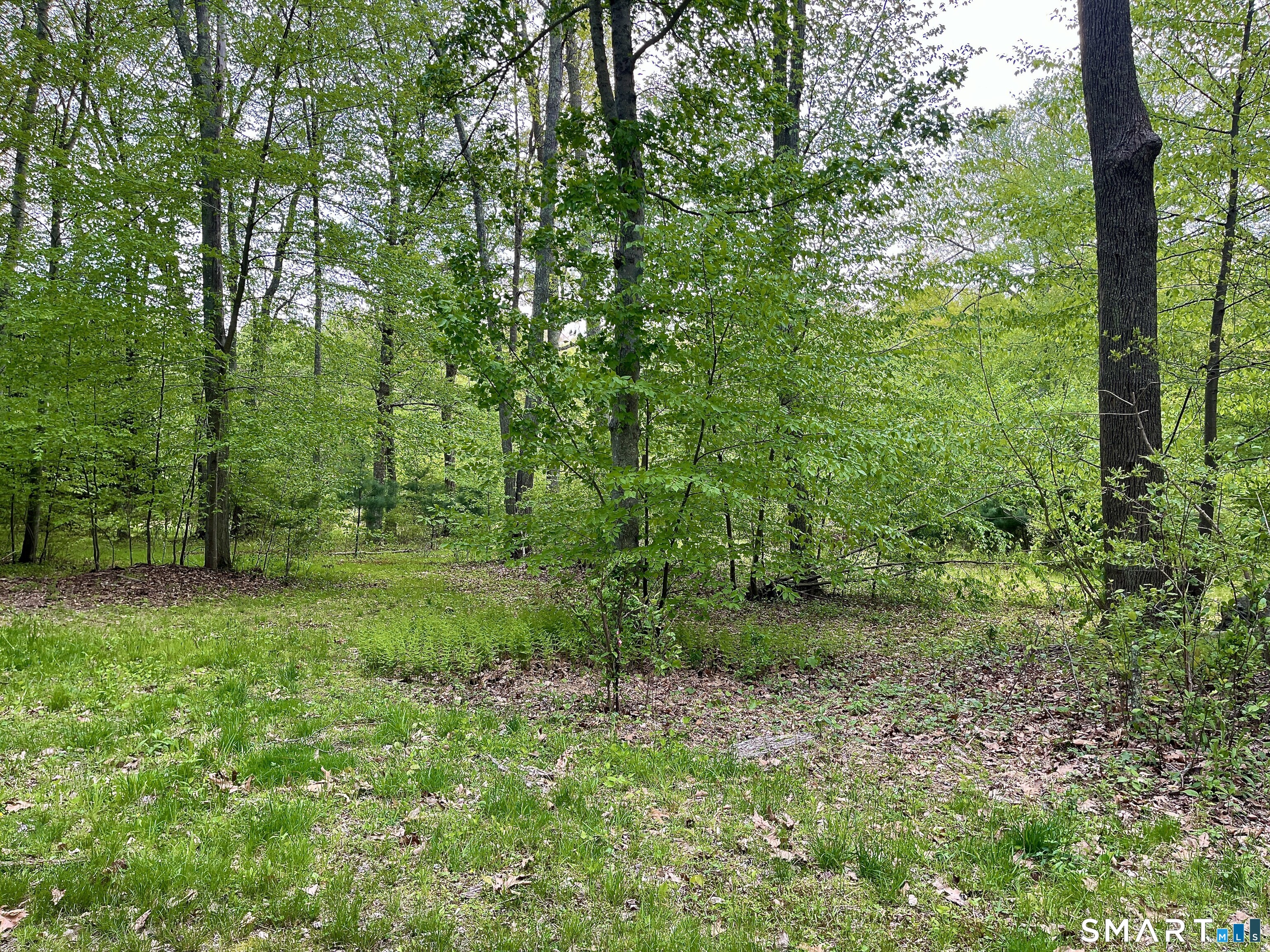 Meadow Brook Road Hebron CT 06231
