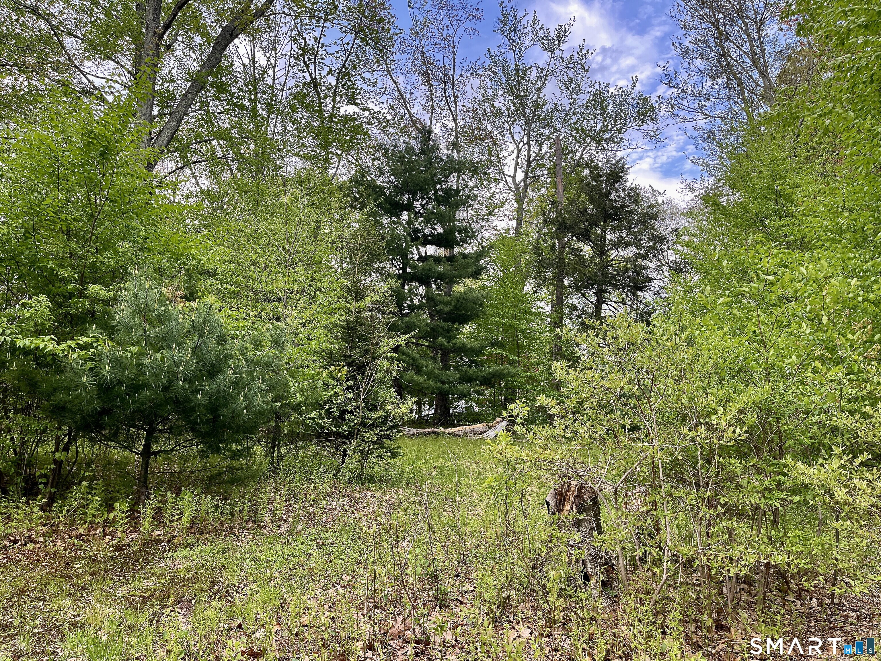 Meadow Brook Road Hebron CT 06231