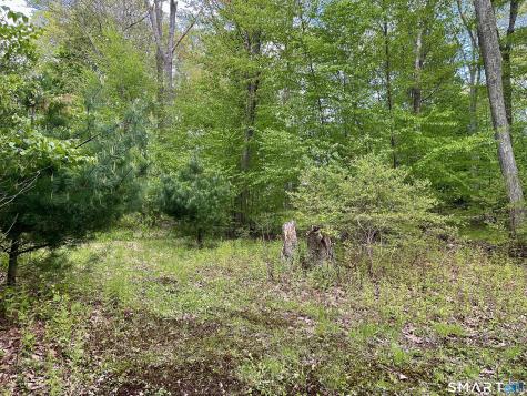 Meadow Brook Road Hebron CT 06231