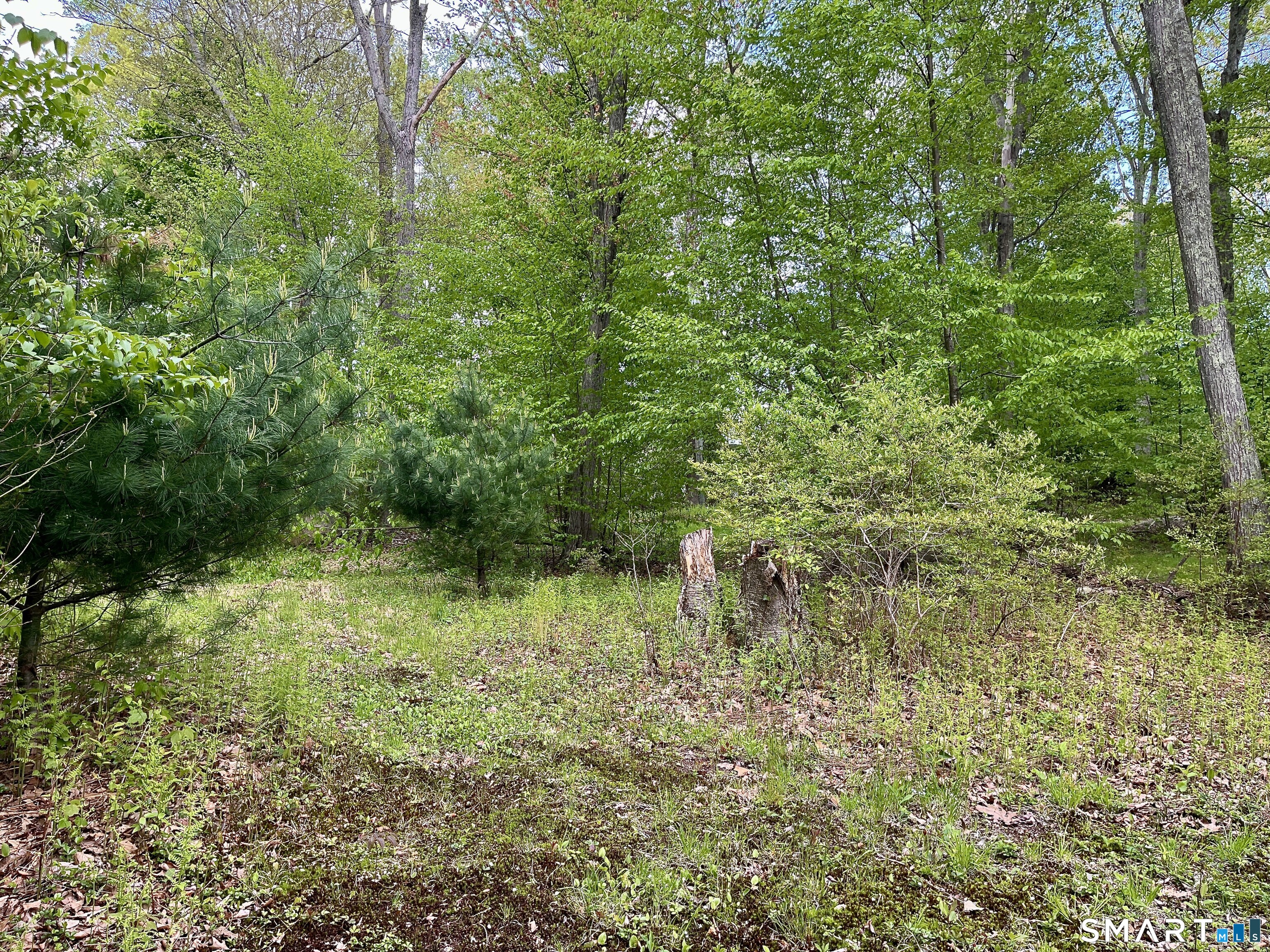 Meadow Brook Road Hebron CT 06231