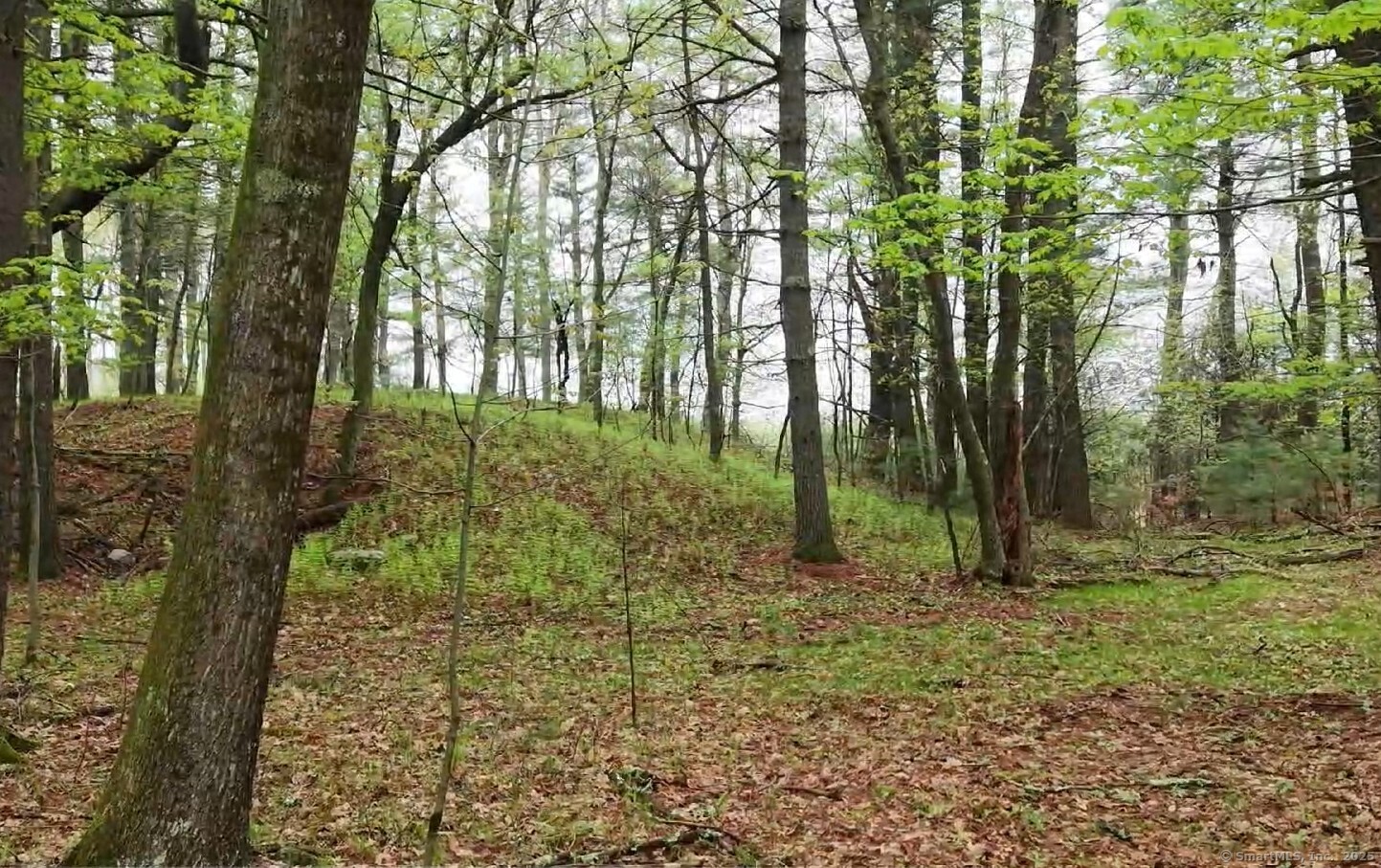 597 East Thompson Road Thompson CT 06277