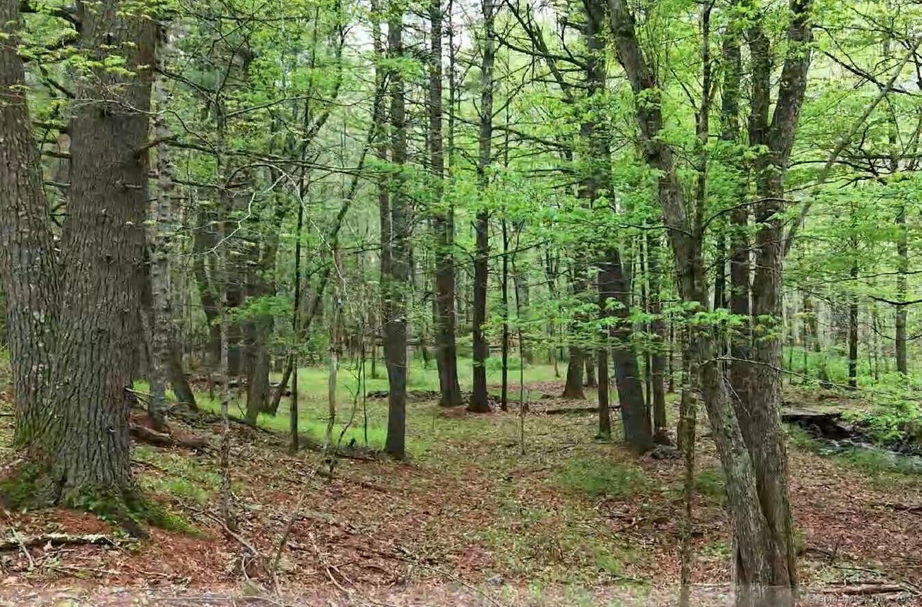 597 East Thompson Road Thompson CT 06277