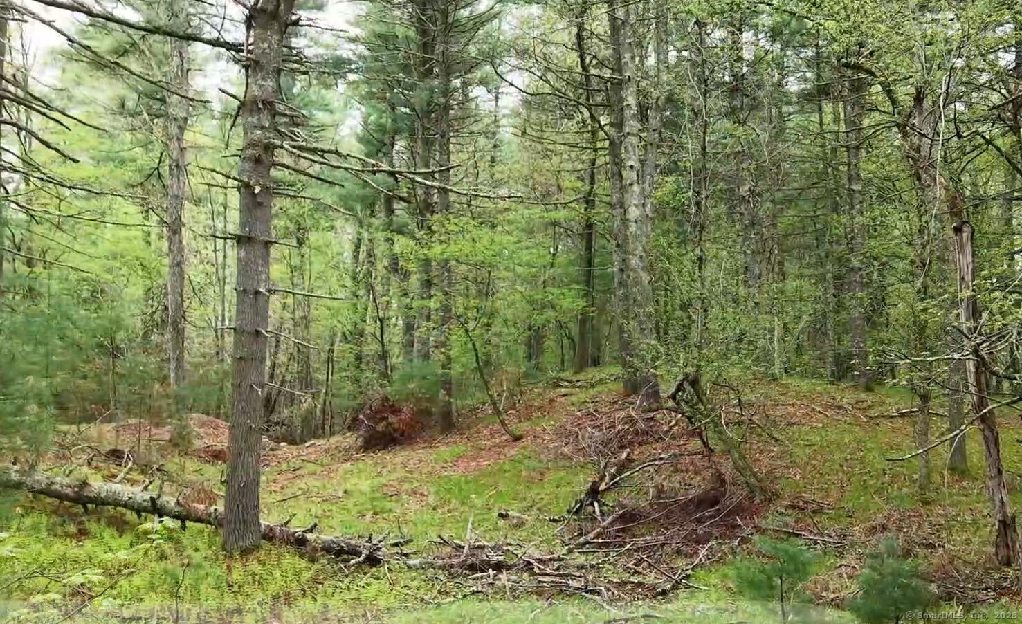 597 East Thompson Road Thompson CT 06277