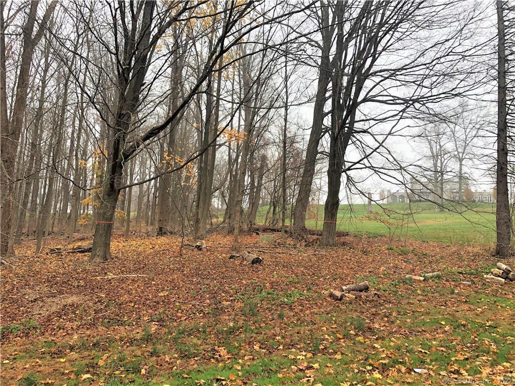 8 Crown View Drive Monroe CT 06468