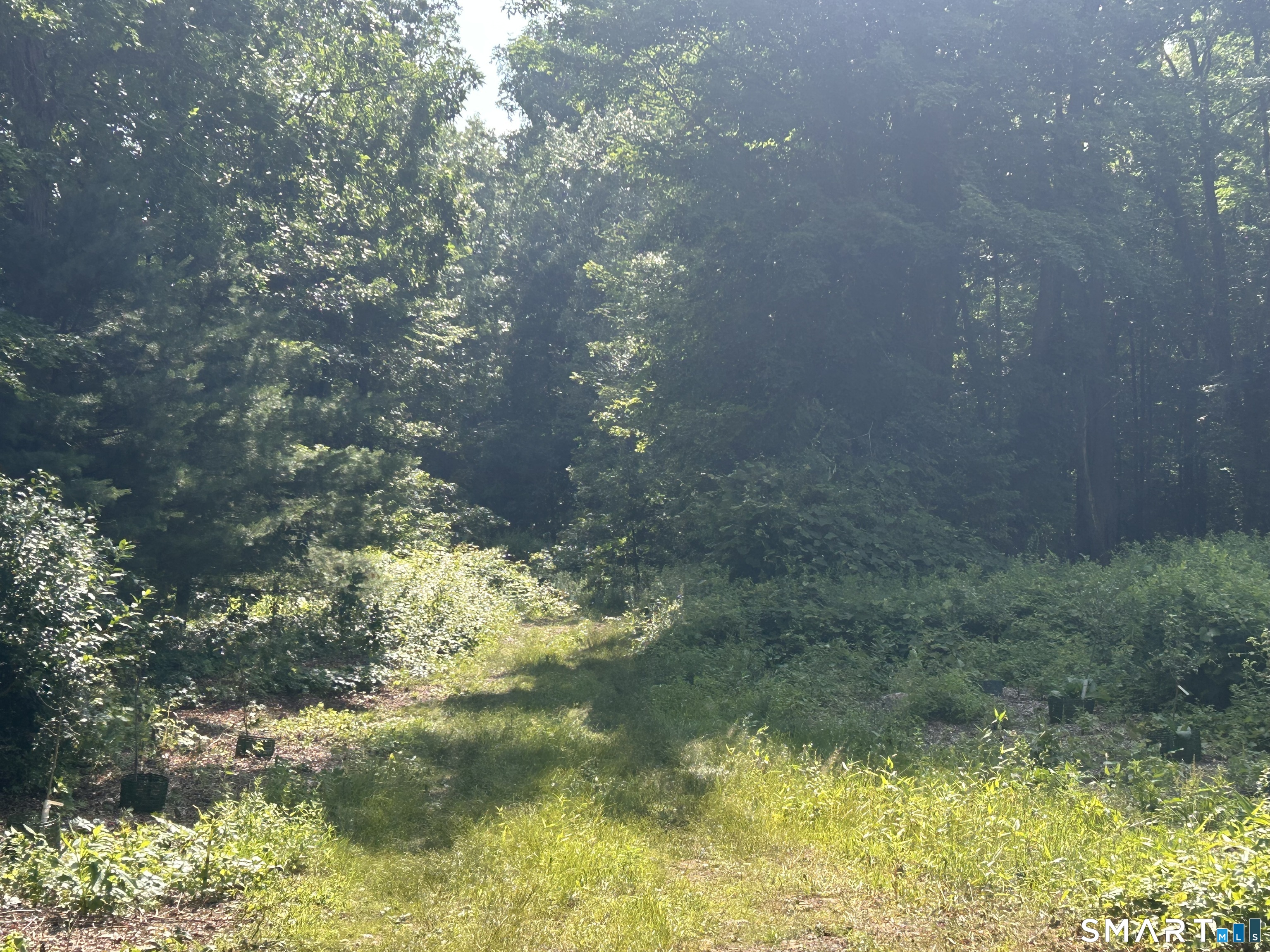 226 Goose Lane Tolland CT 06084
