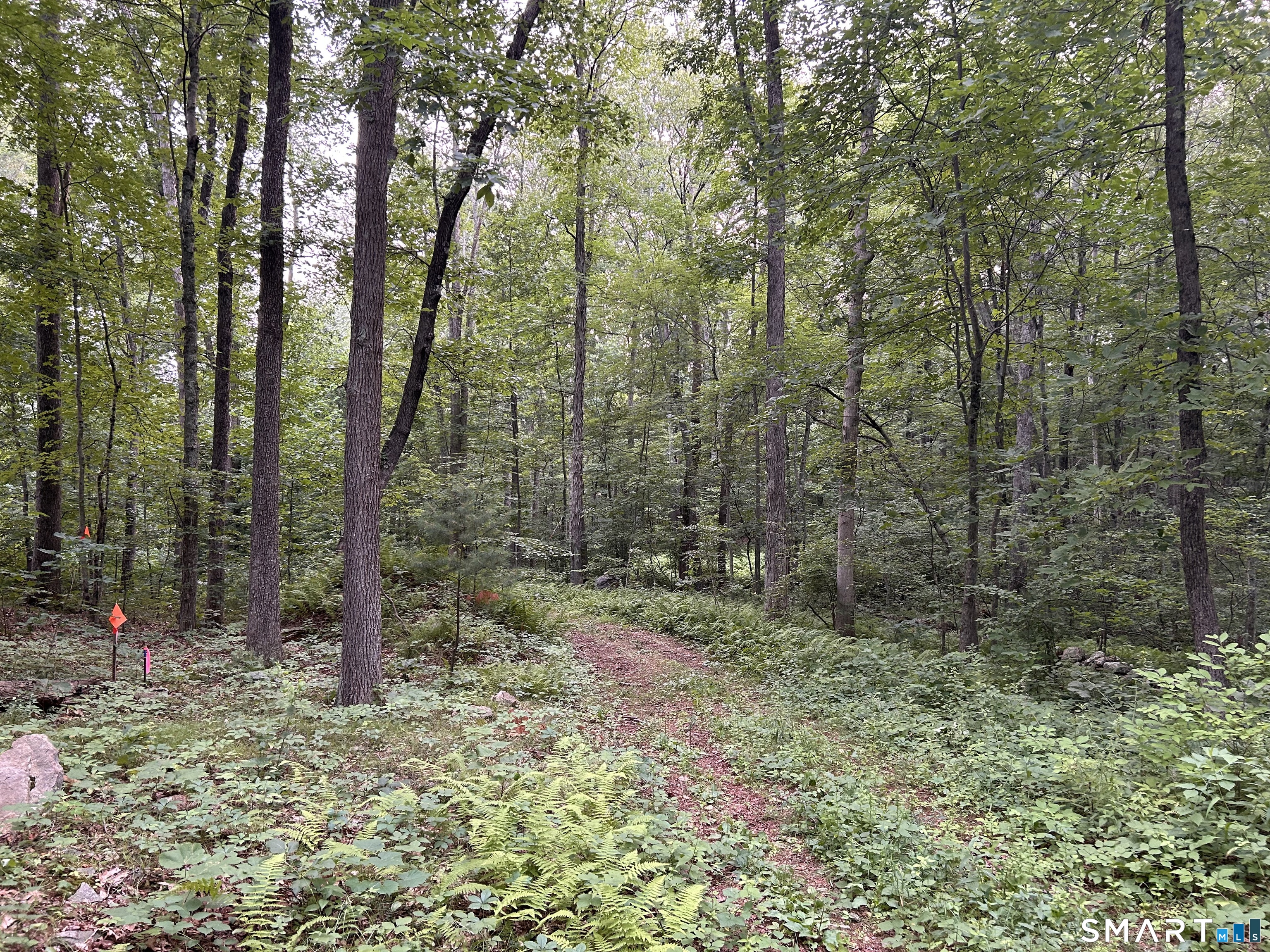 226 Goose Lane Tolland CT 06084
