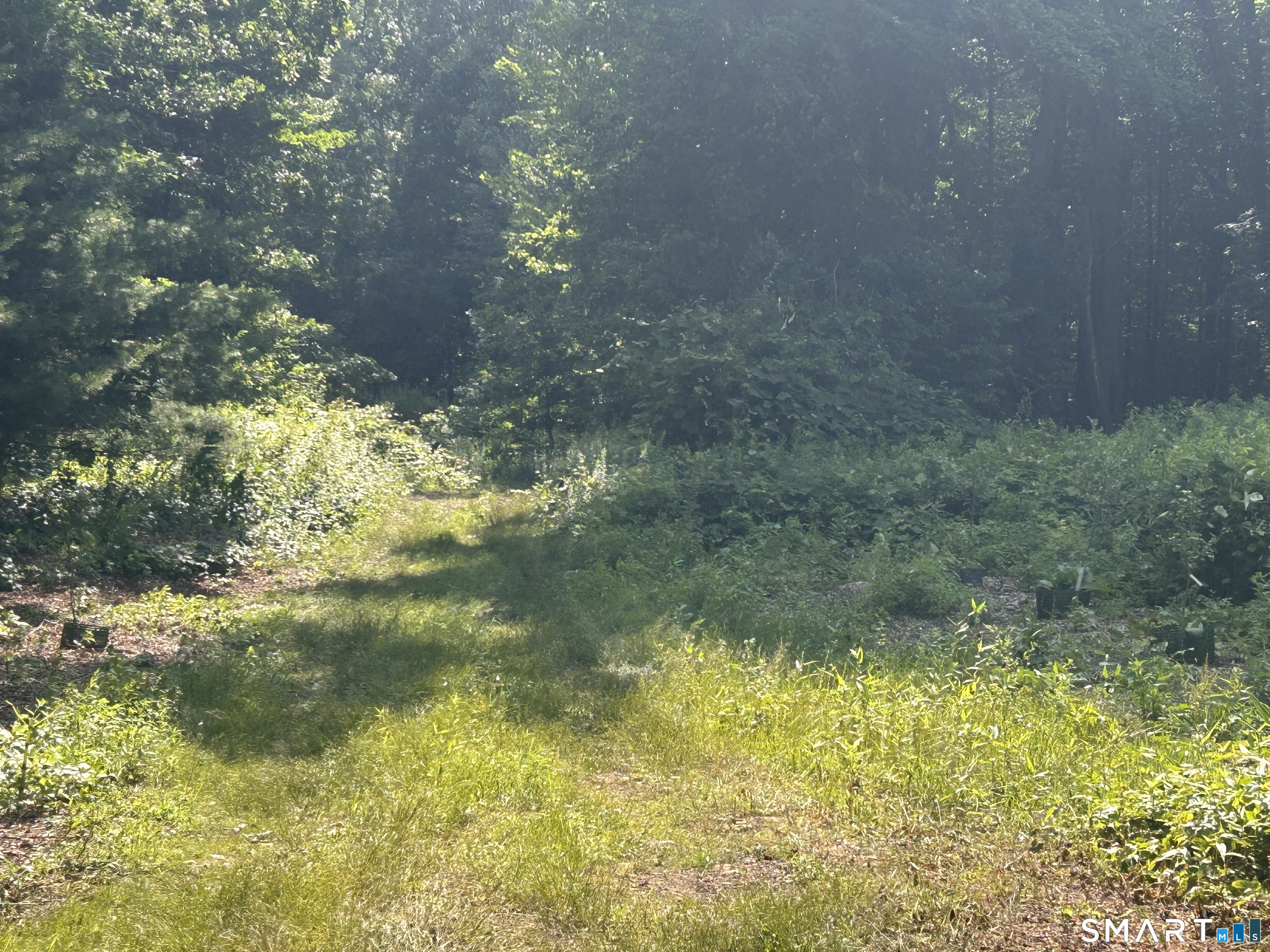 226 Goose Lane Tolland CT 06084