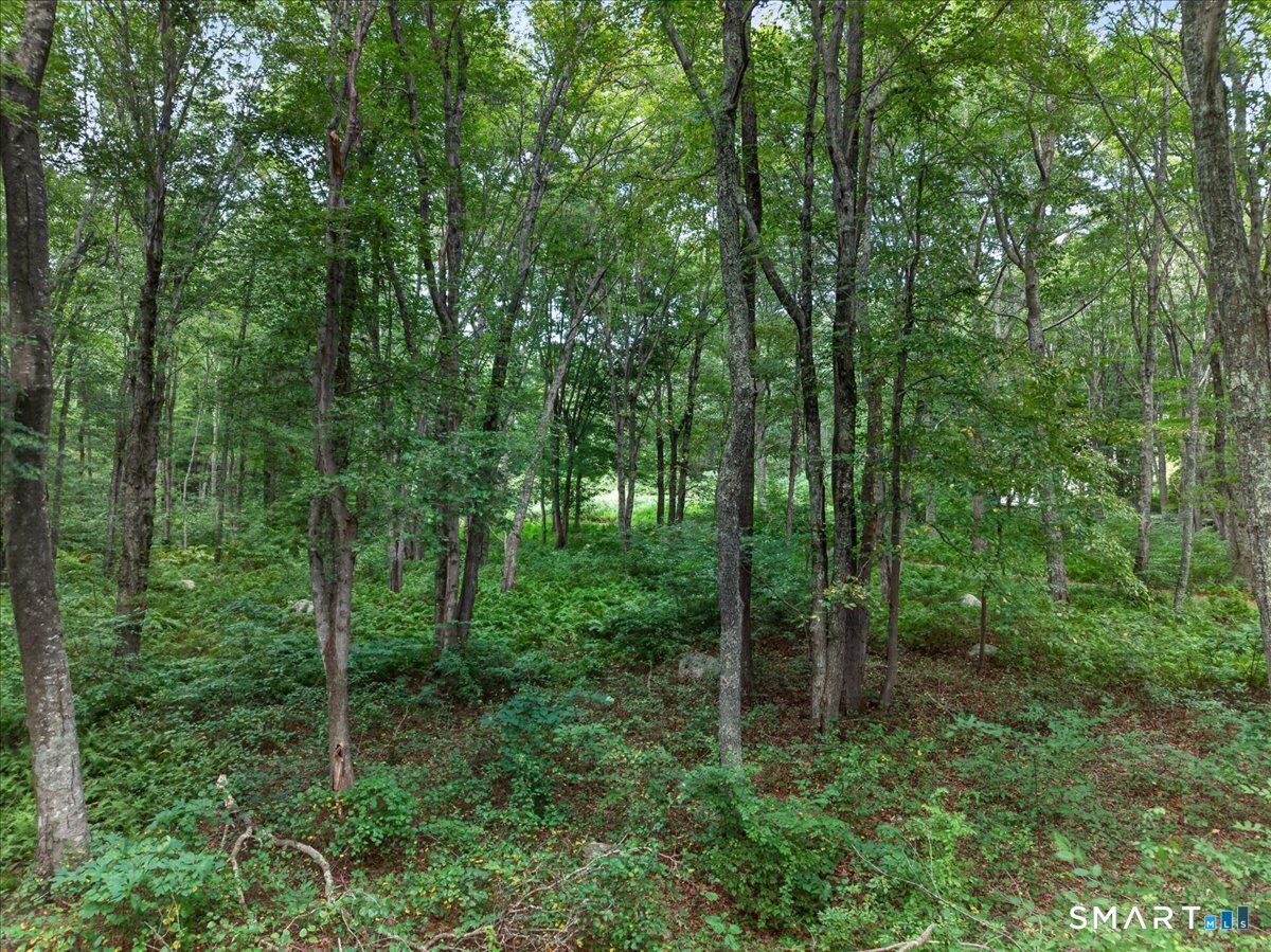174 Montauk Avenue Stonington CT 06378