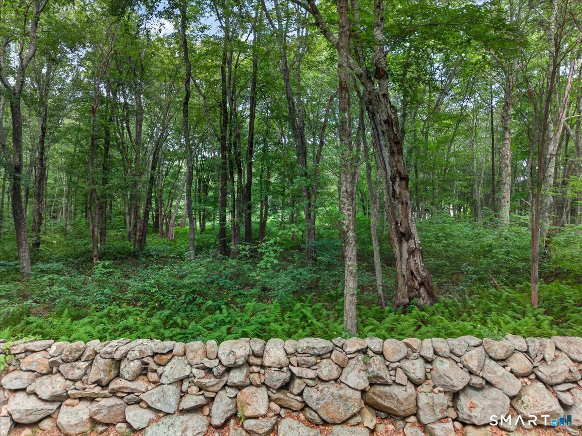 174 Montauk Avenue Stonington CT 06378