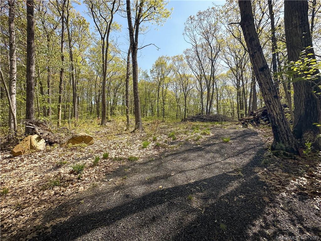 177 Buell Road Litchfield CT 06759