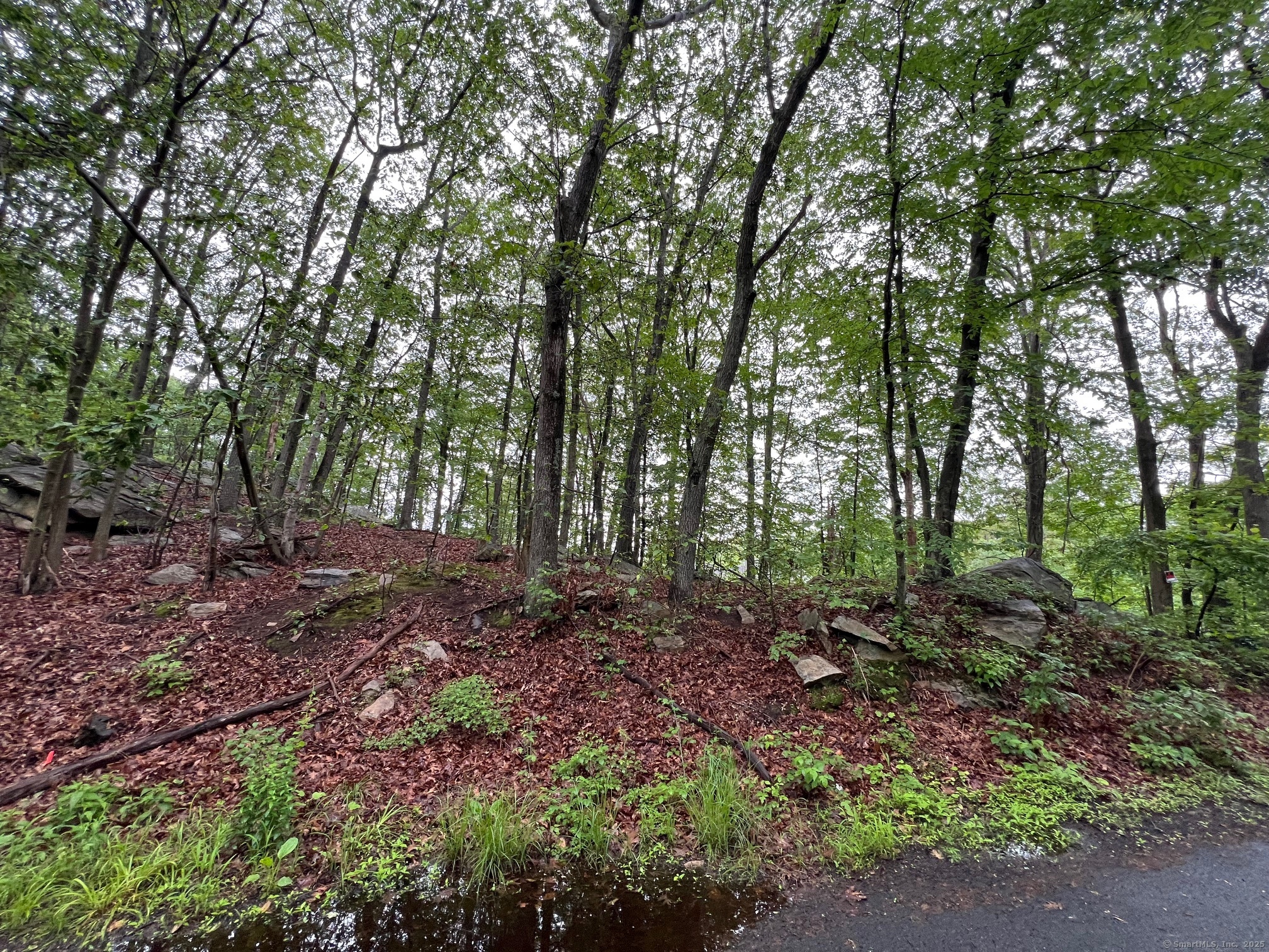 92 Walnut Avenue Shelton CT 06484