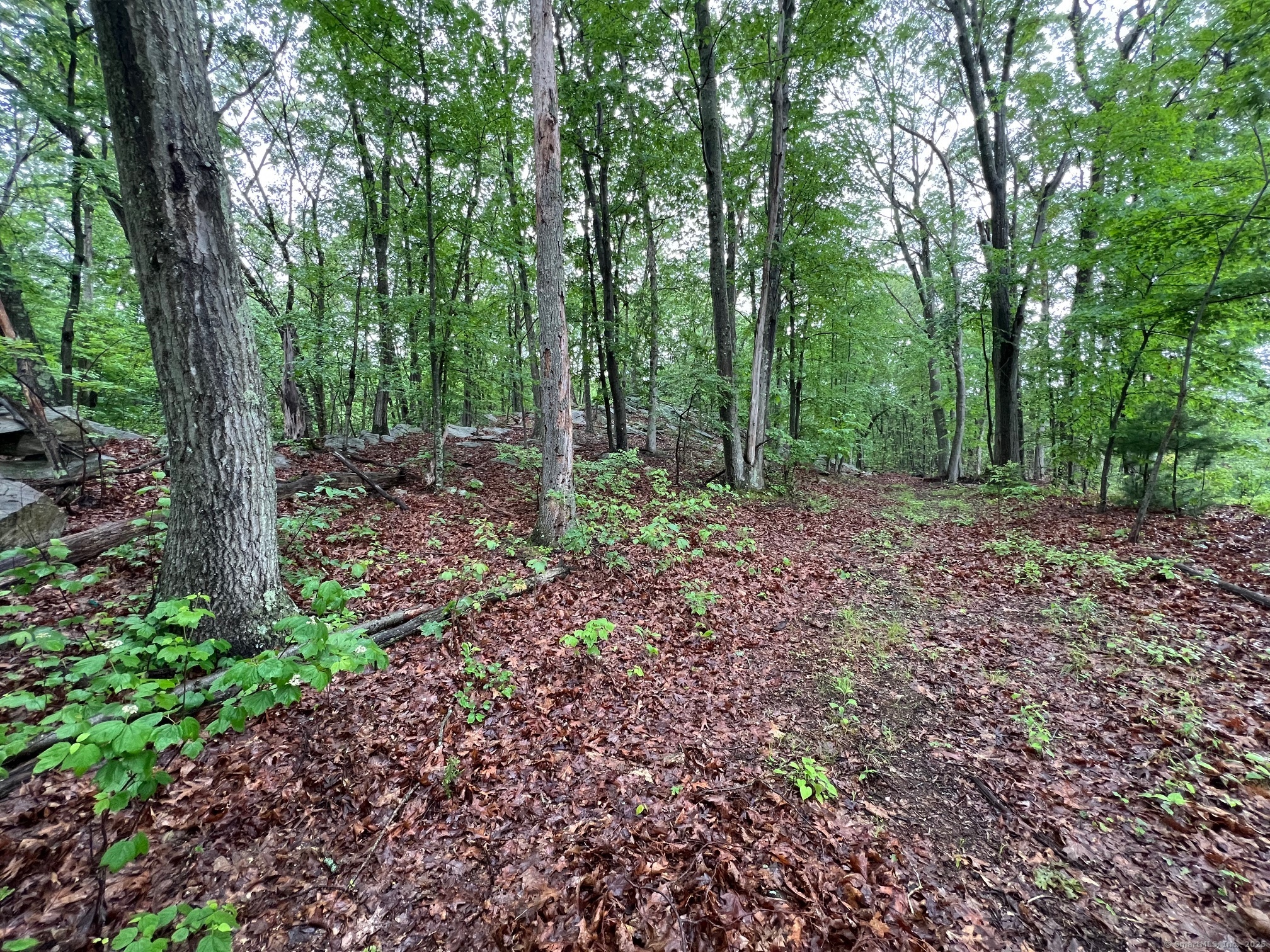 92 Walnut Avenue Shelton CT 06484