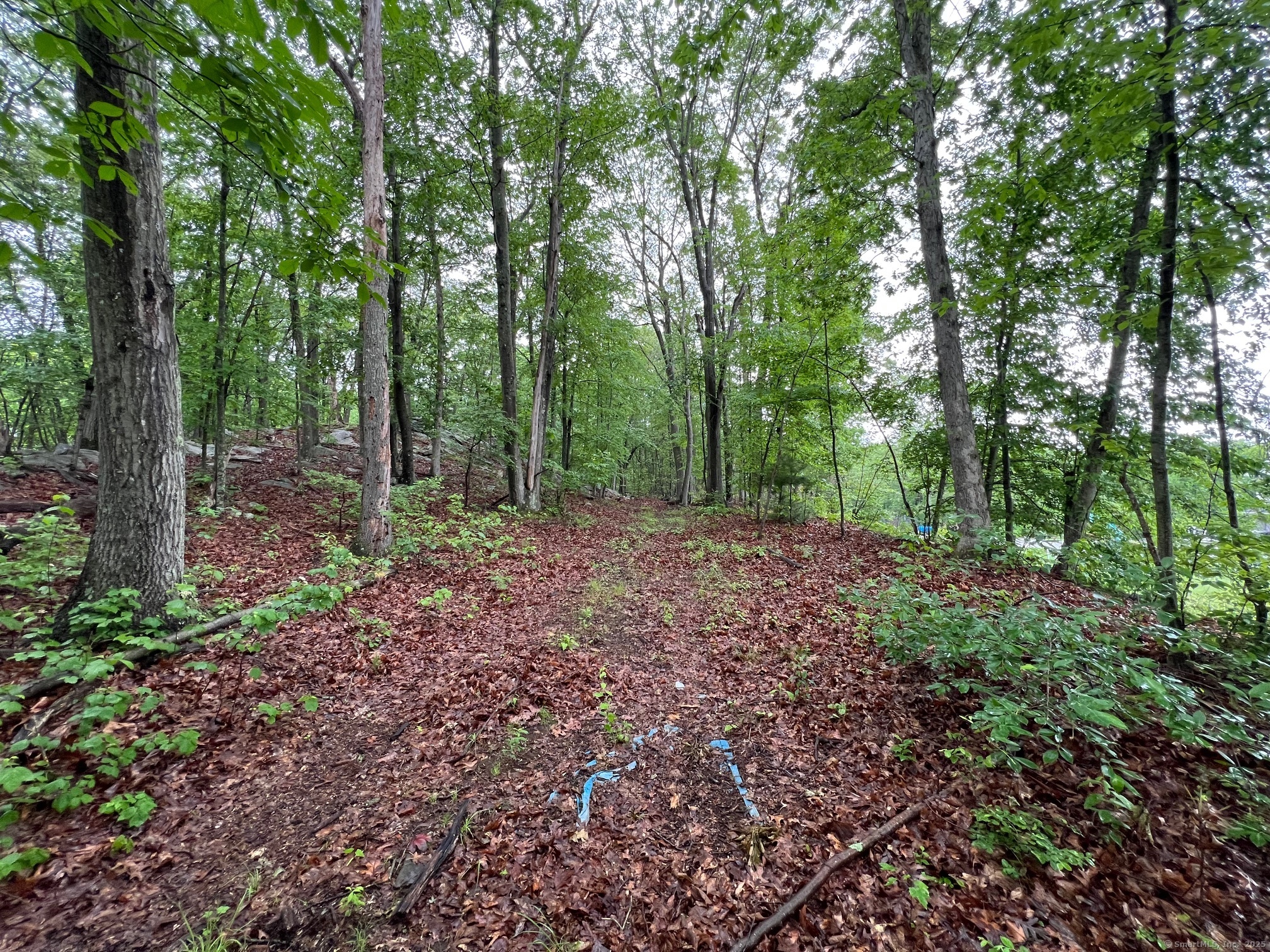 92 Walnut Avenue Shelton CT 06484