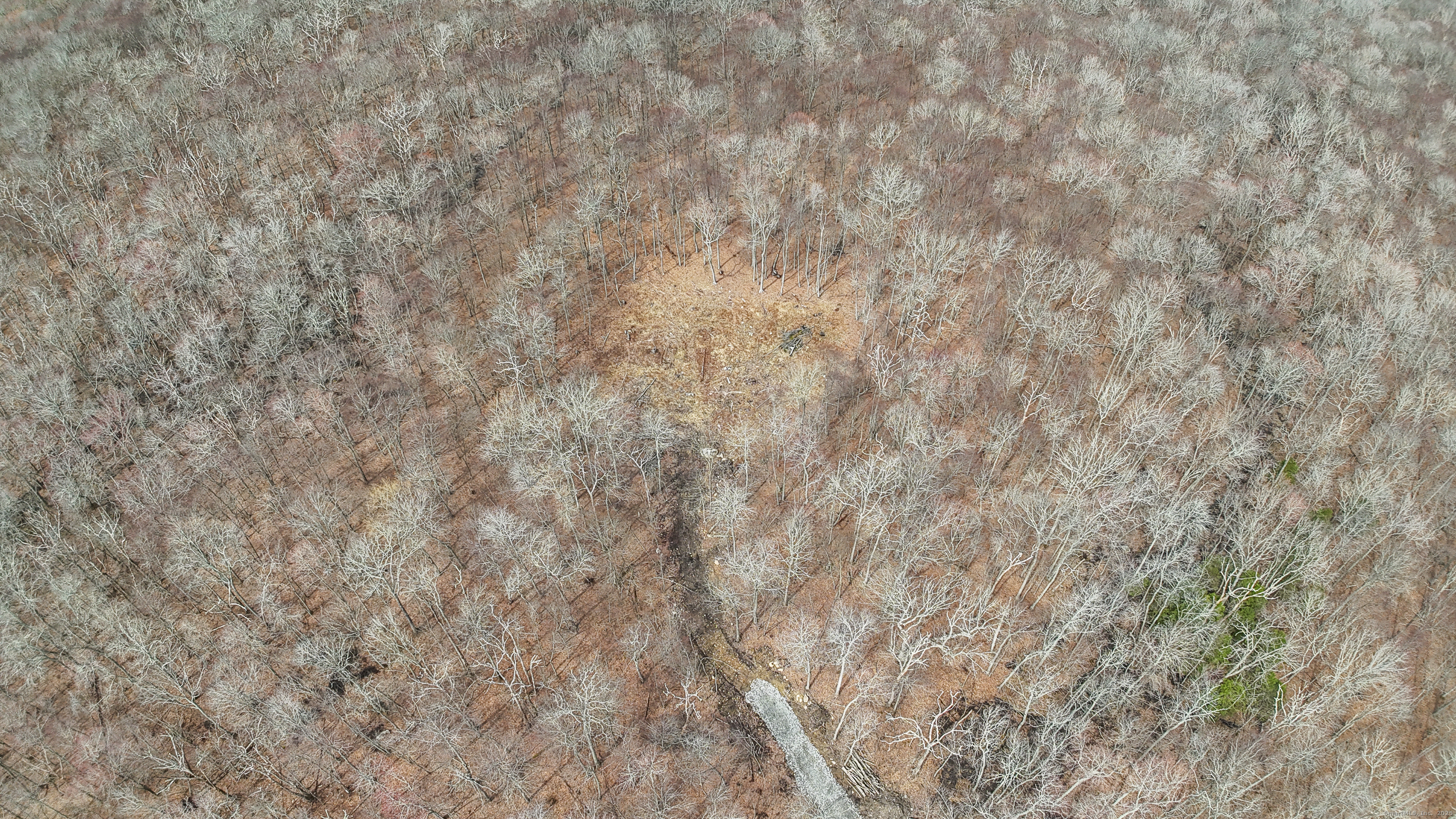 Lot 12-1 Tripp Hollow Road Brooklyn CT 06234