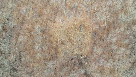 Lot 12-1 Tripp Hollow Road Brooklyn CT 06234
