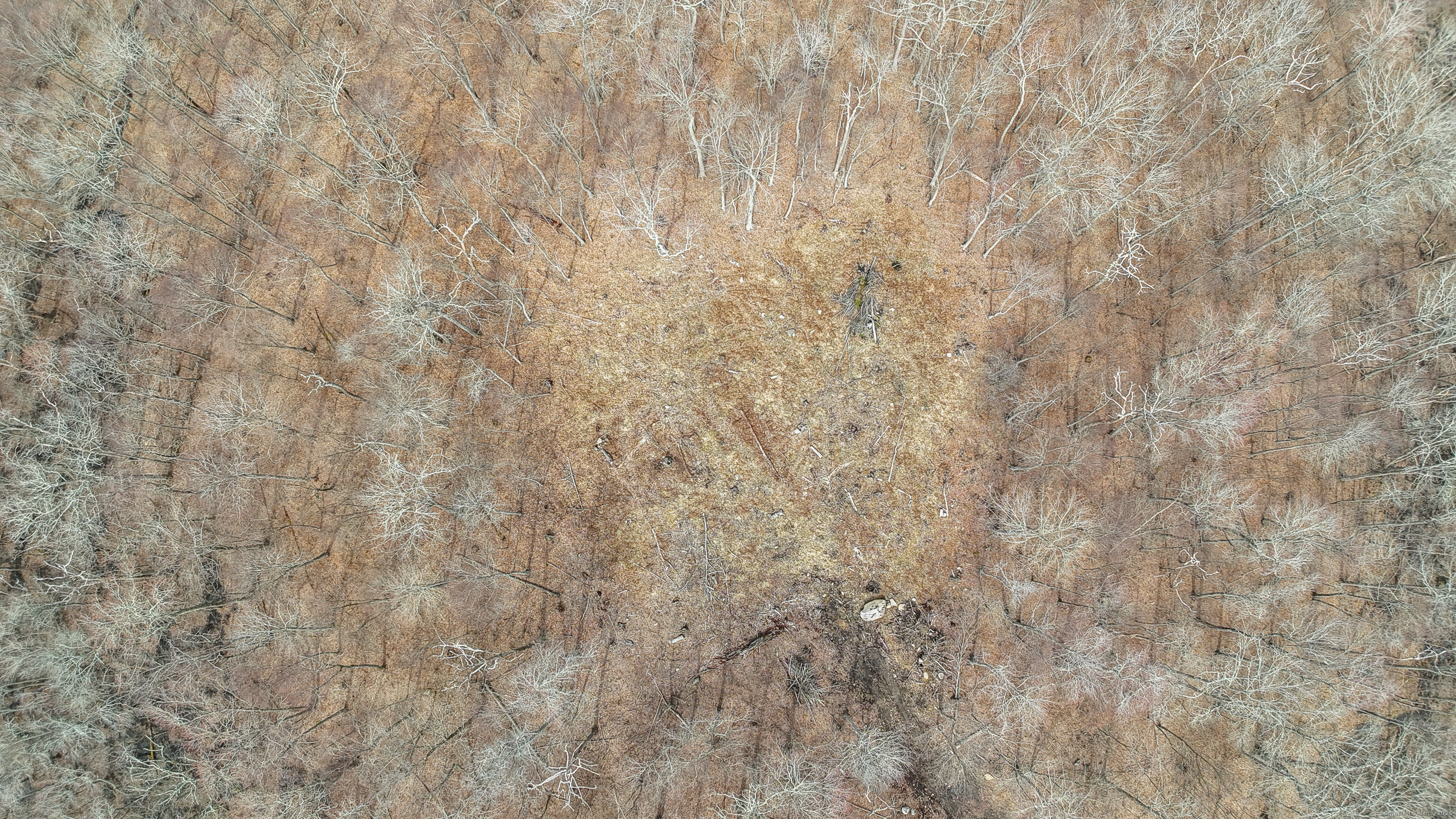 Lot 12-1 Tripp Hollow Road Brooklyn CT 06234