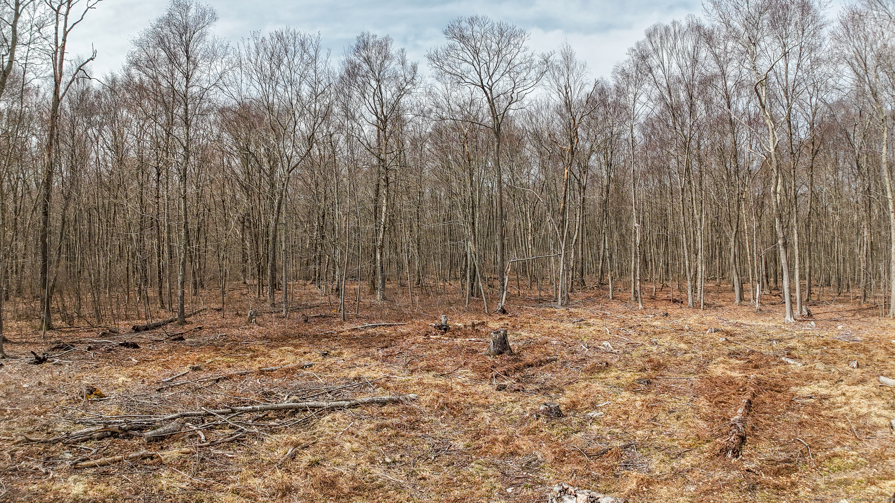 Lot 12-1 Tripp Hollow Road Brooklyn CT 06234