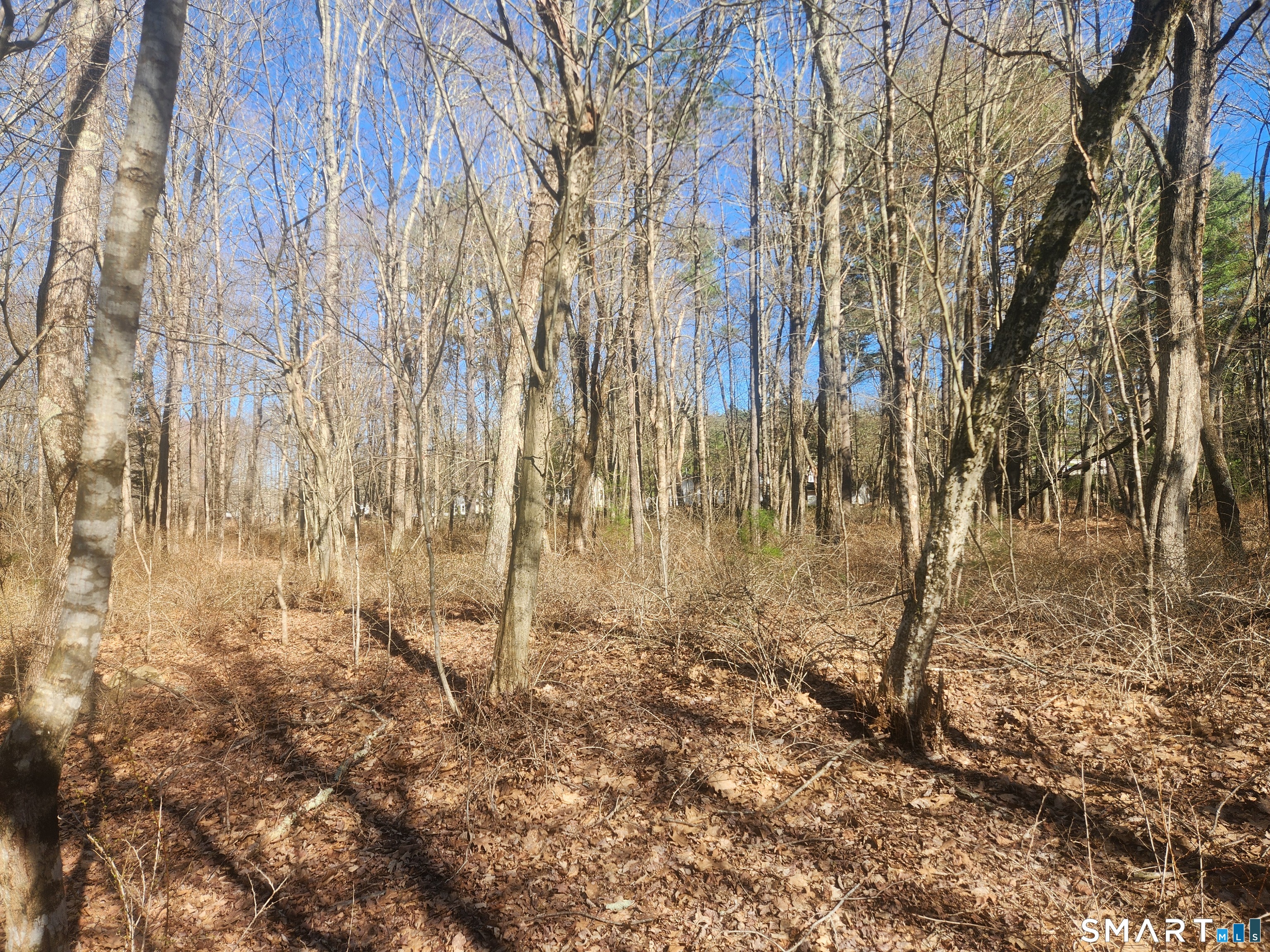 286 East Street Stafford CT 06076