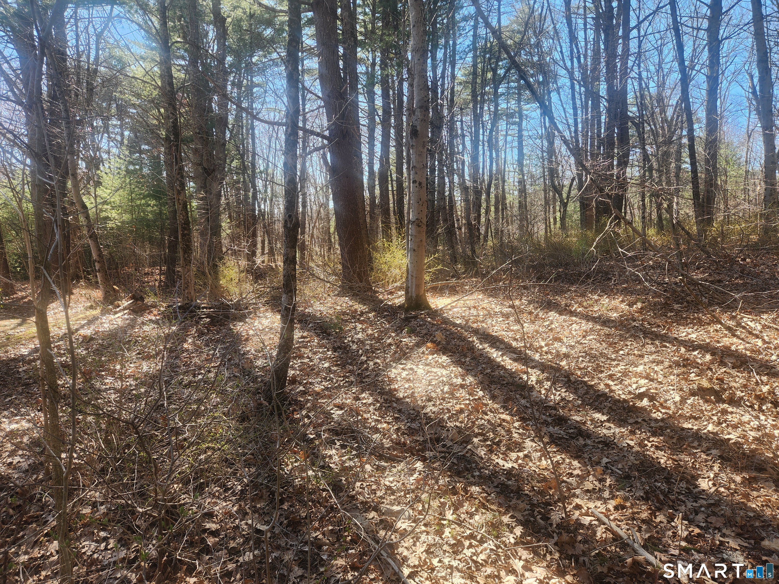 286 East Street Stafford CT 06076