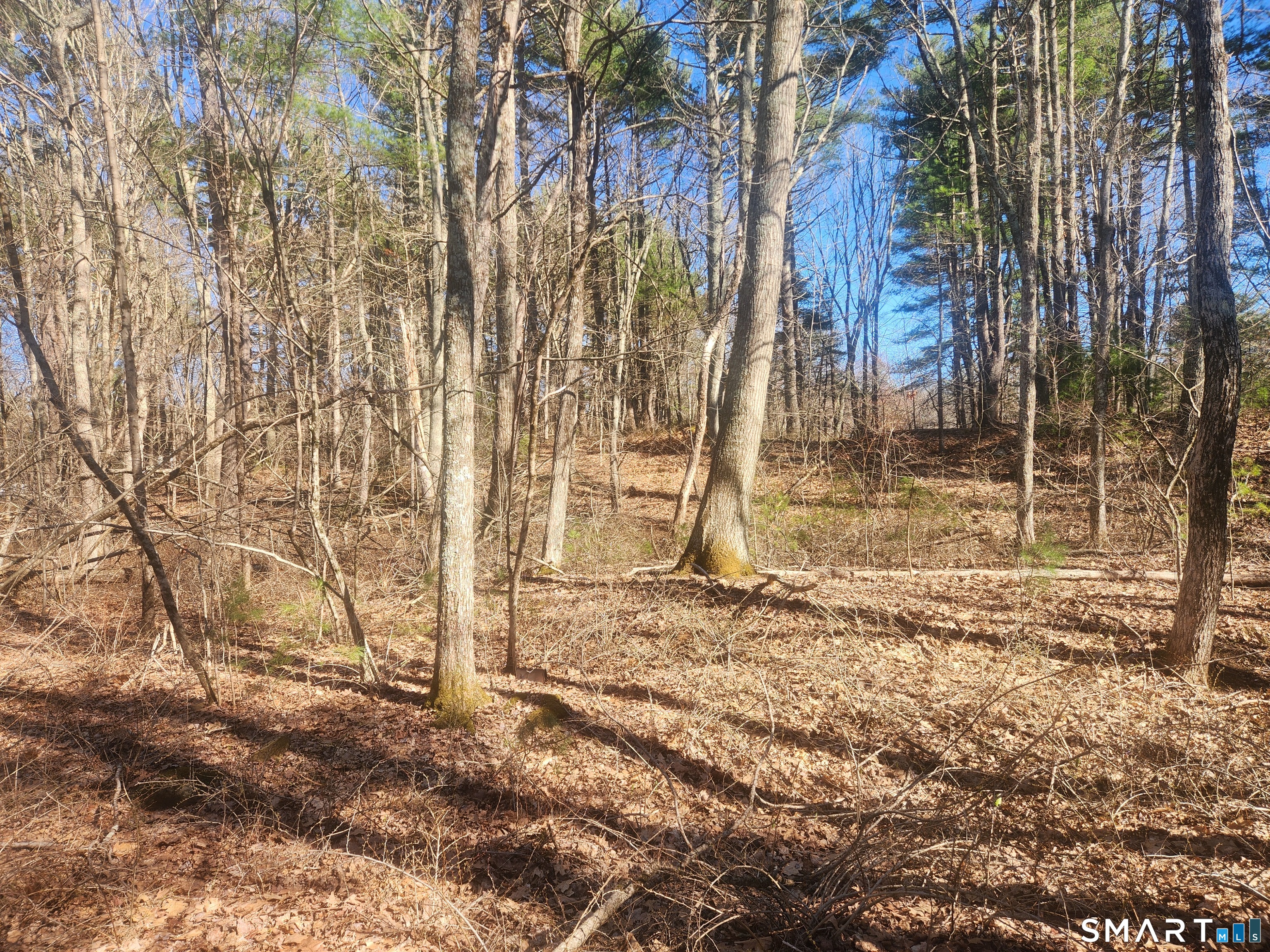 286 East Street Stafford CT 06076