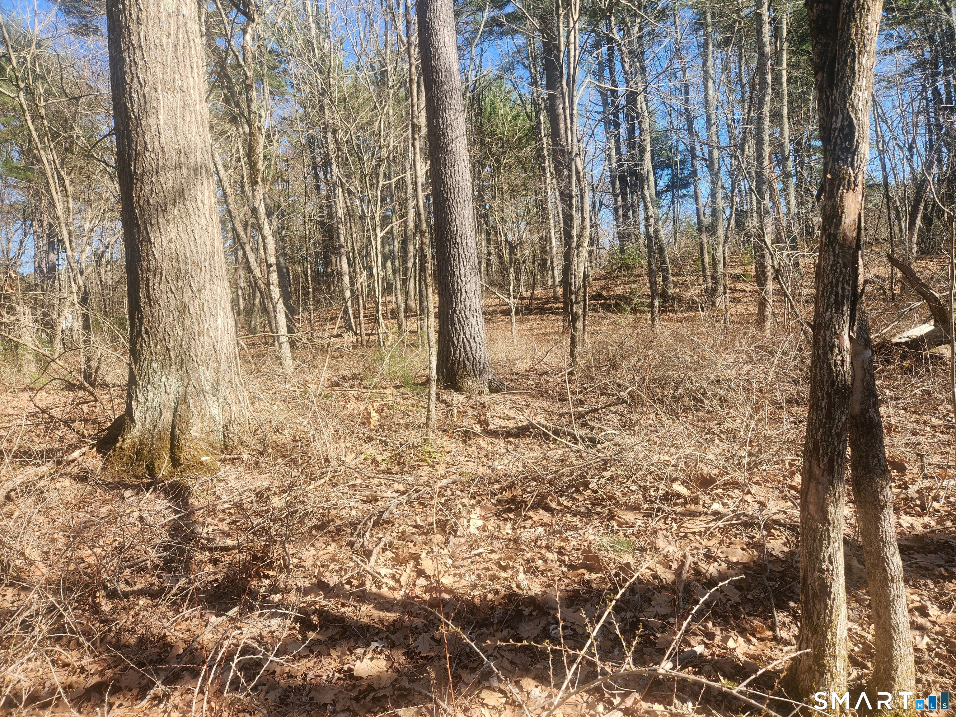 286 East Street Stafford CT 06076