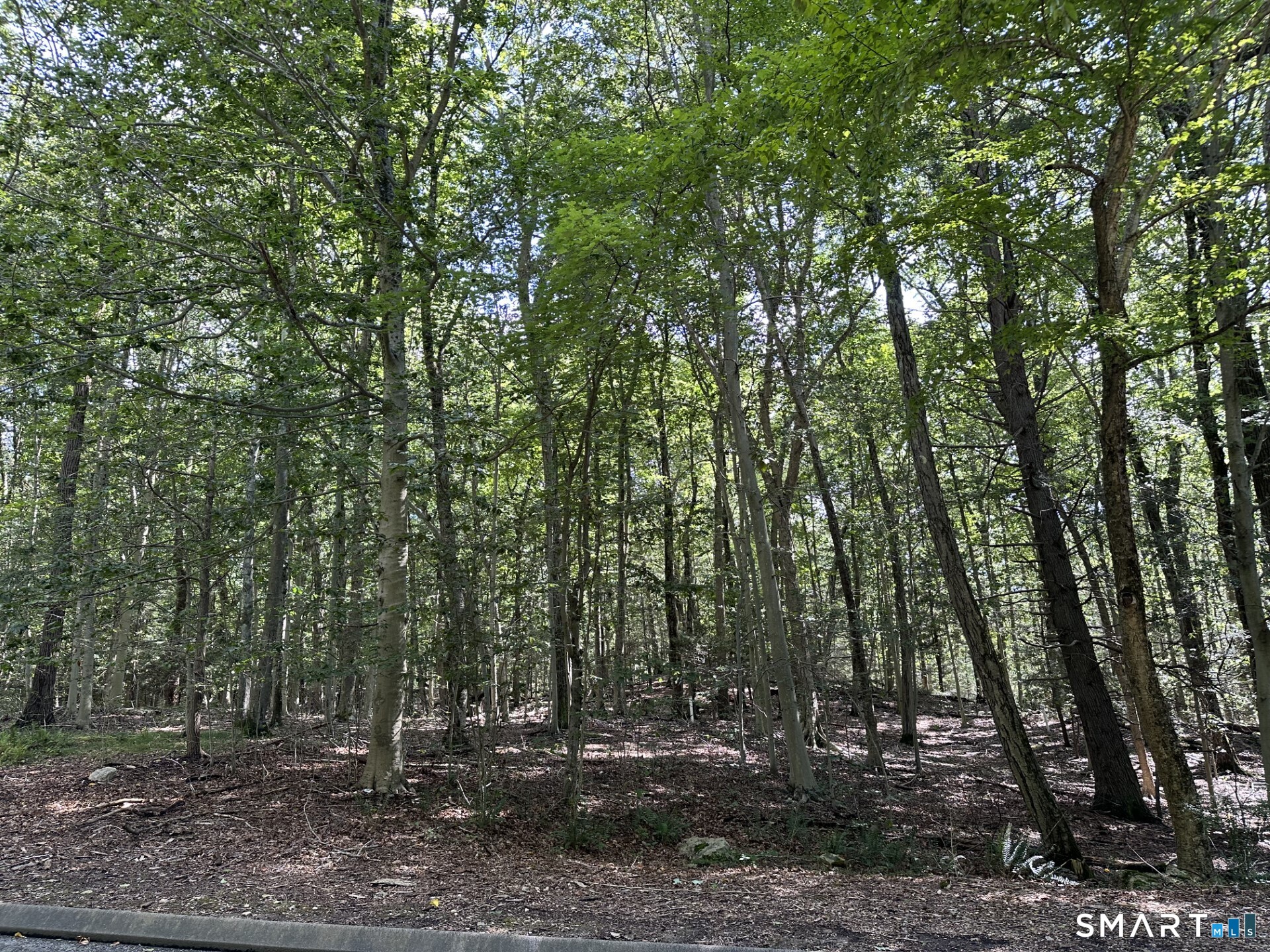 Lot #6 South Brook Drive Stamford CT 06904