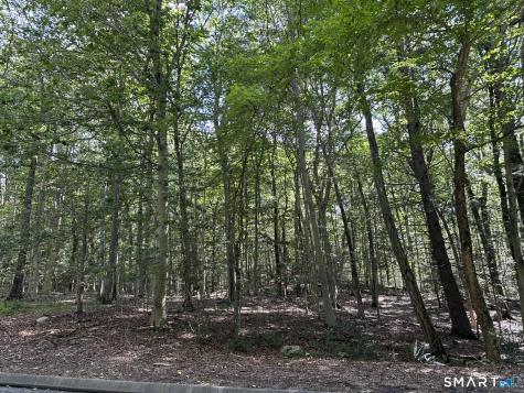 Lot #6 South Brook Drive Stamford CT 06904