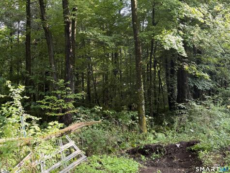 Wheeler Road Litchfield CT 06759