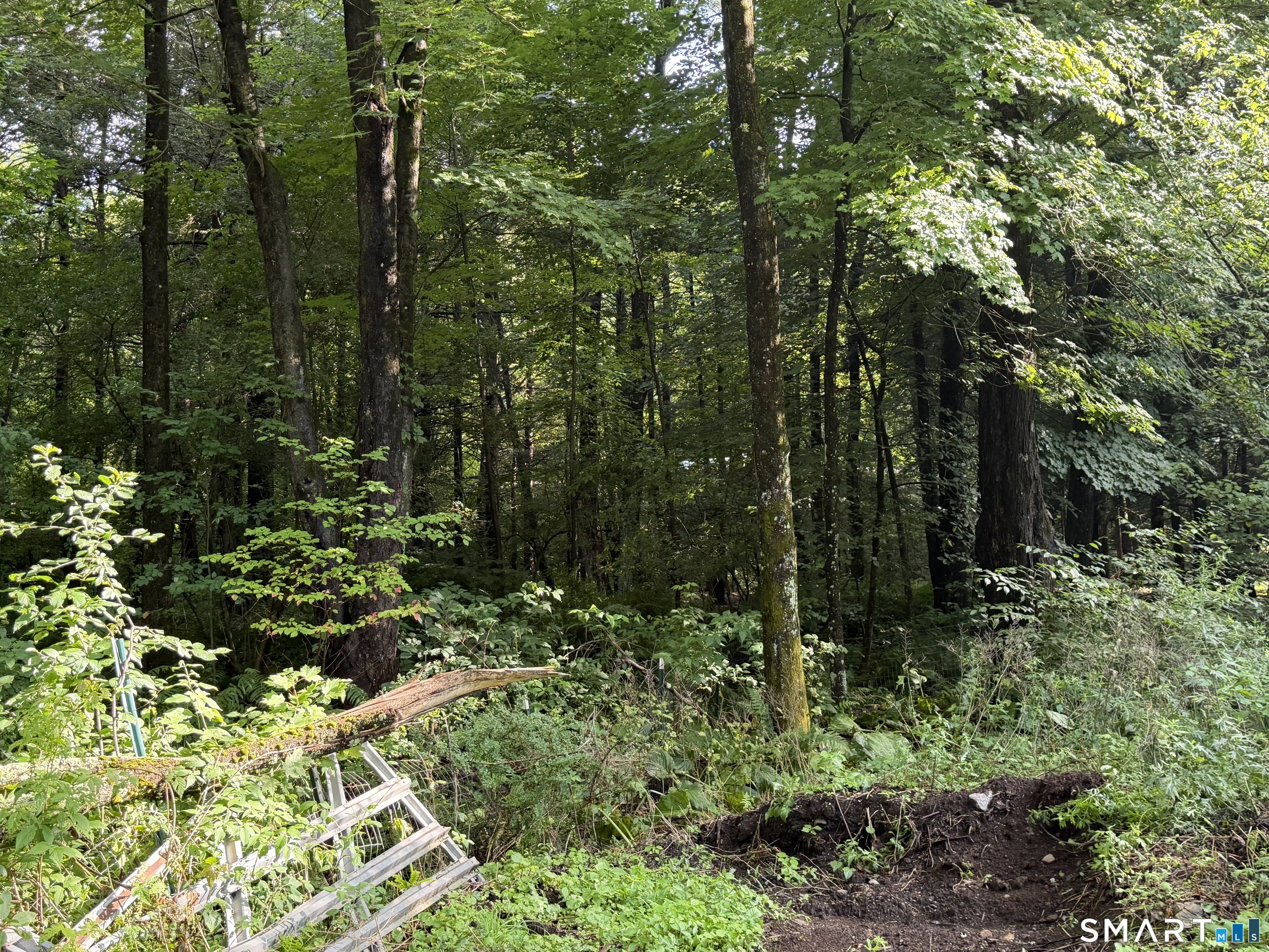 Wheeler Road Litchfield CT 06759