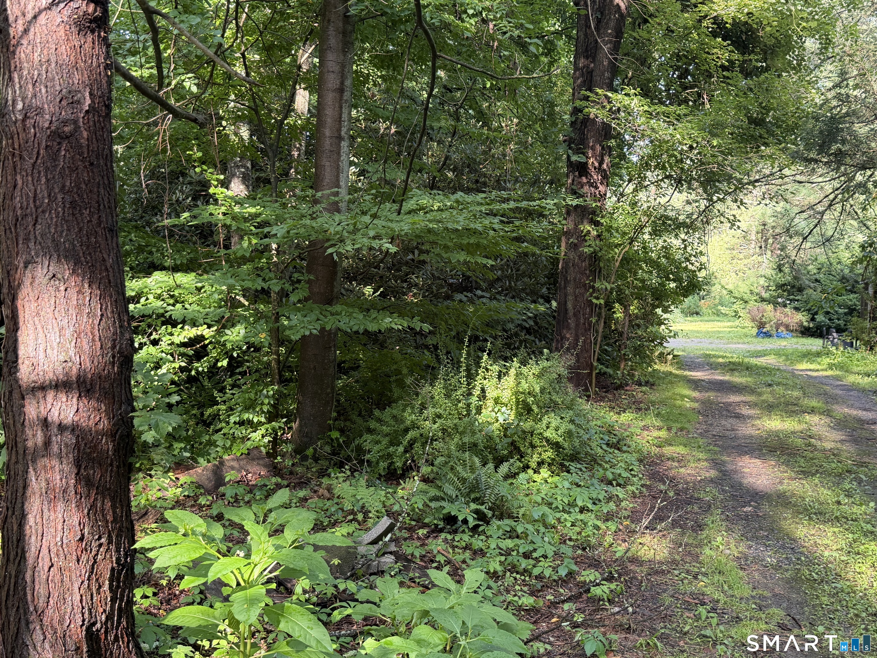 Wheeler Road Litchfield CT 06759
