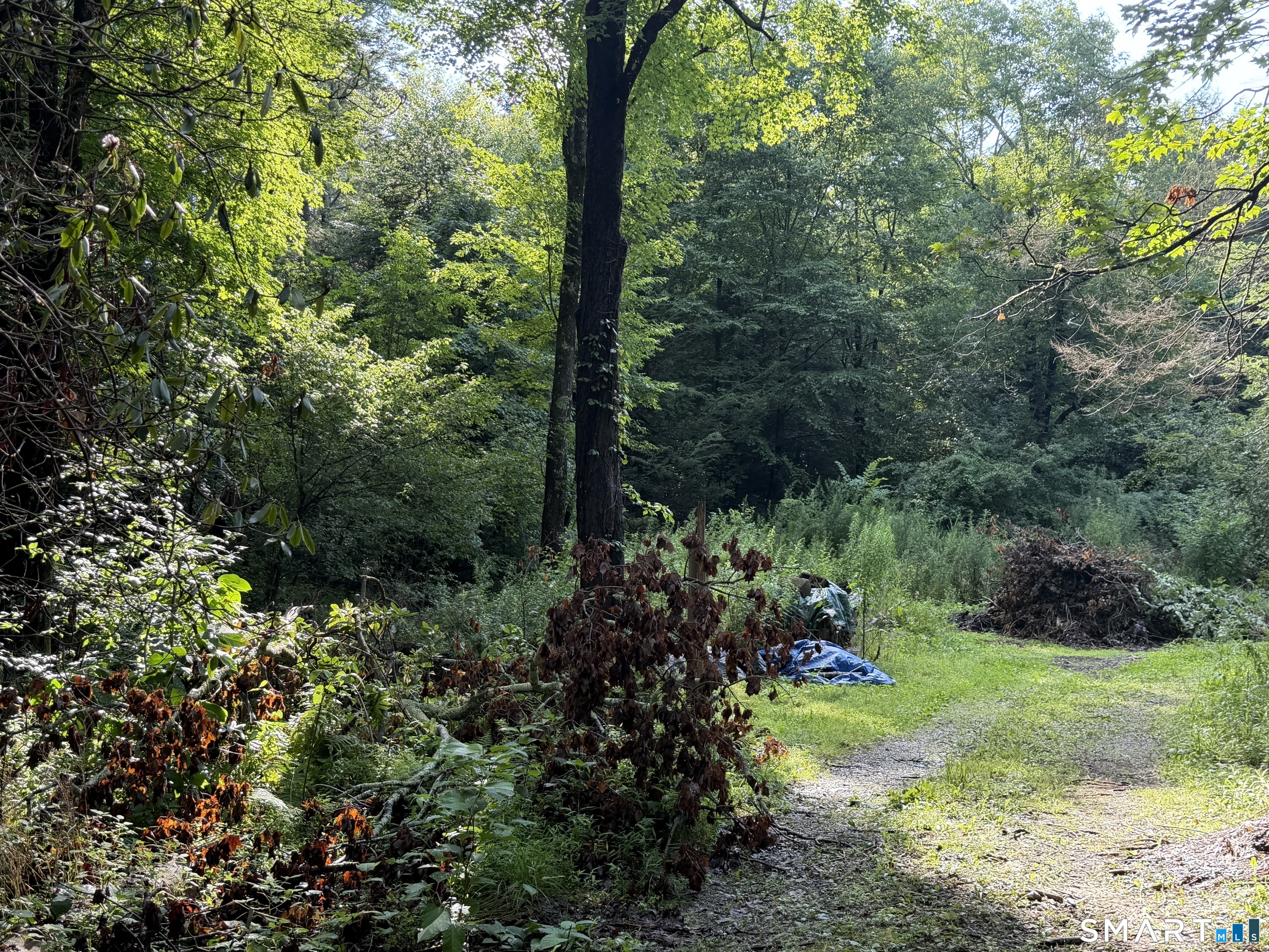 Wheeler Road Litchfield CT 06759