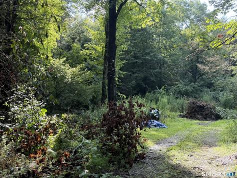 Wheeler Road Litchfield CT 06759