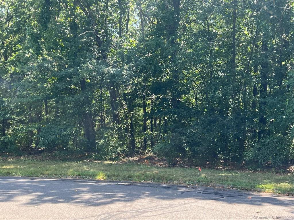 20 Woodcock Lane South Windsor CT 06074
