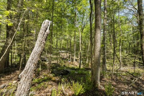 321 Colebrook Road Winchester CT 06098