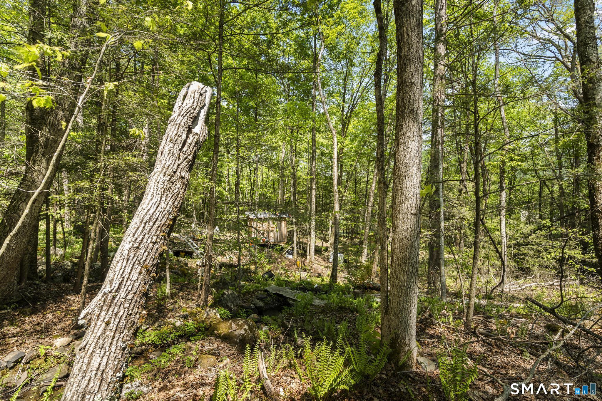 321 Colebrook Road Winchester CT 06098
