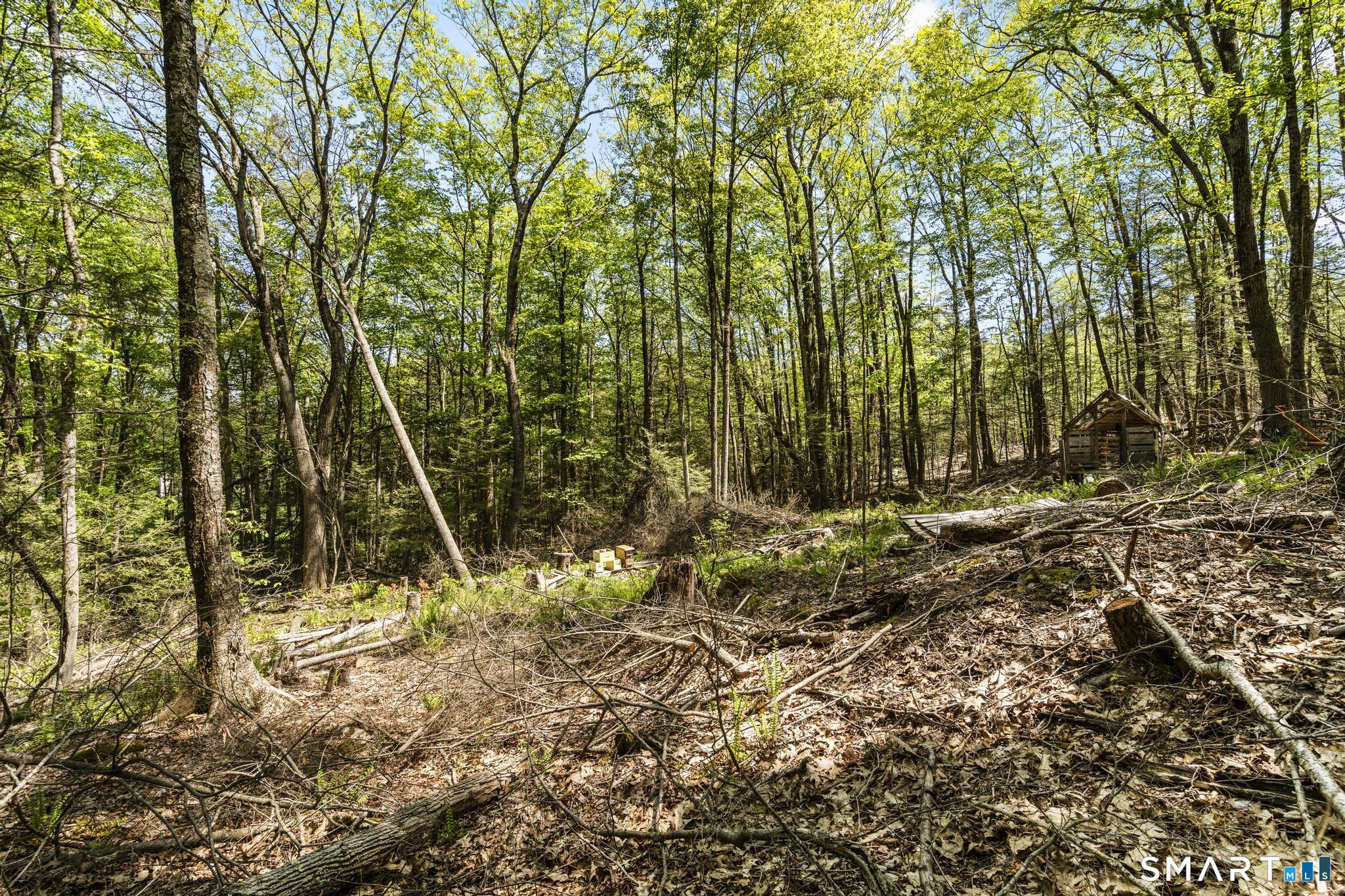 321 Colebrook Road Winchester CT 06098