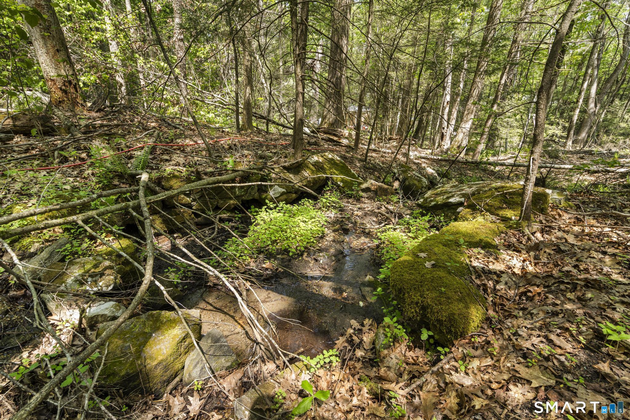 321 Colebrook Road Winchester CT 06098