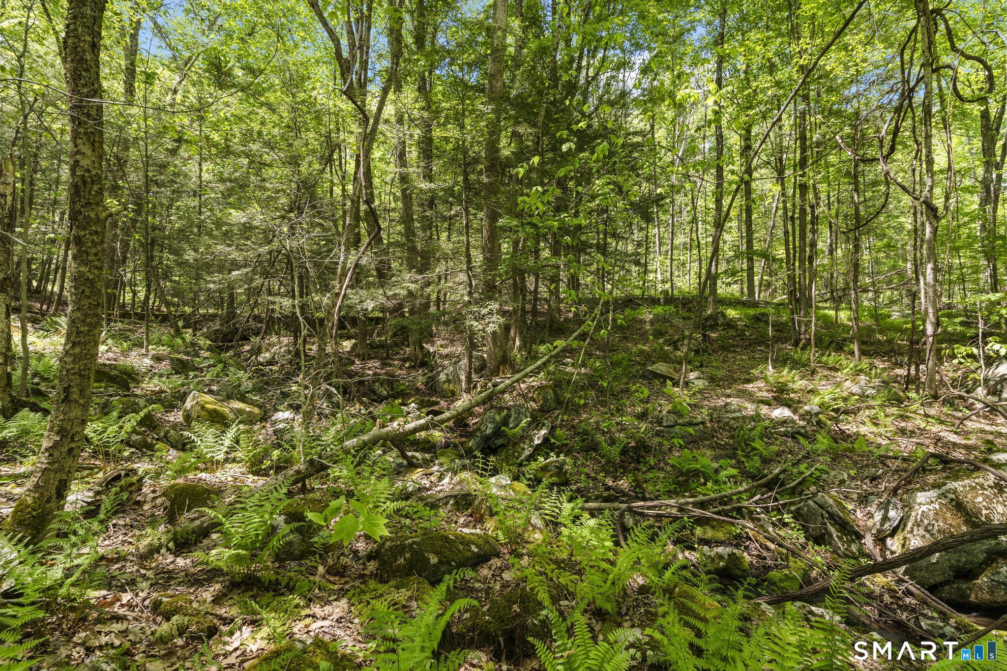 321 Colebrook Road Winchester CT 06098