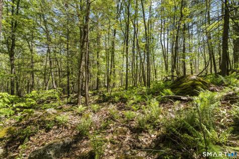 321 Colebrook Road Winchester CT 06098