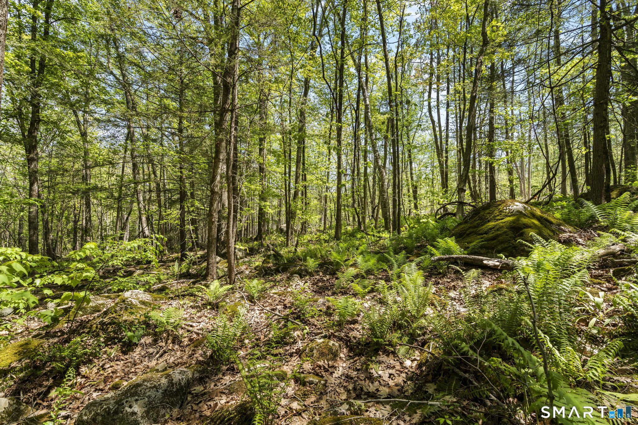 321 Colebrook Road Winchester CT 06098