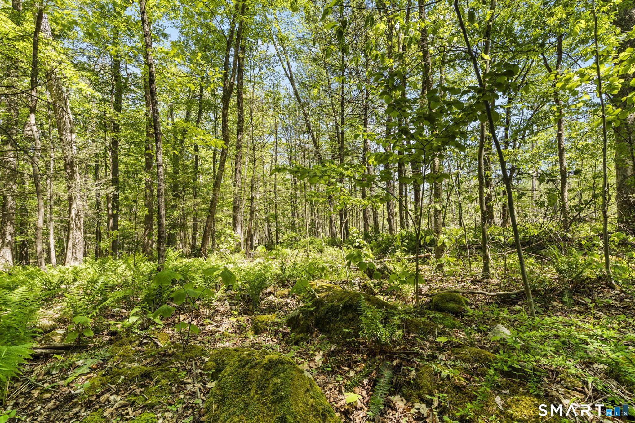 321 Colebrook Road Winchester CT 06098