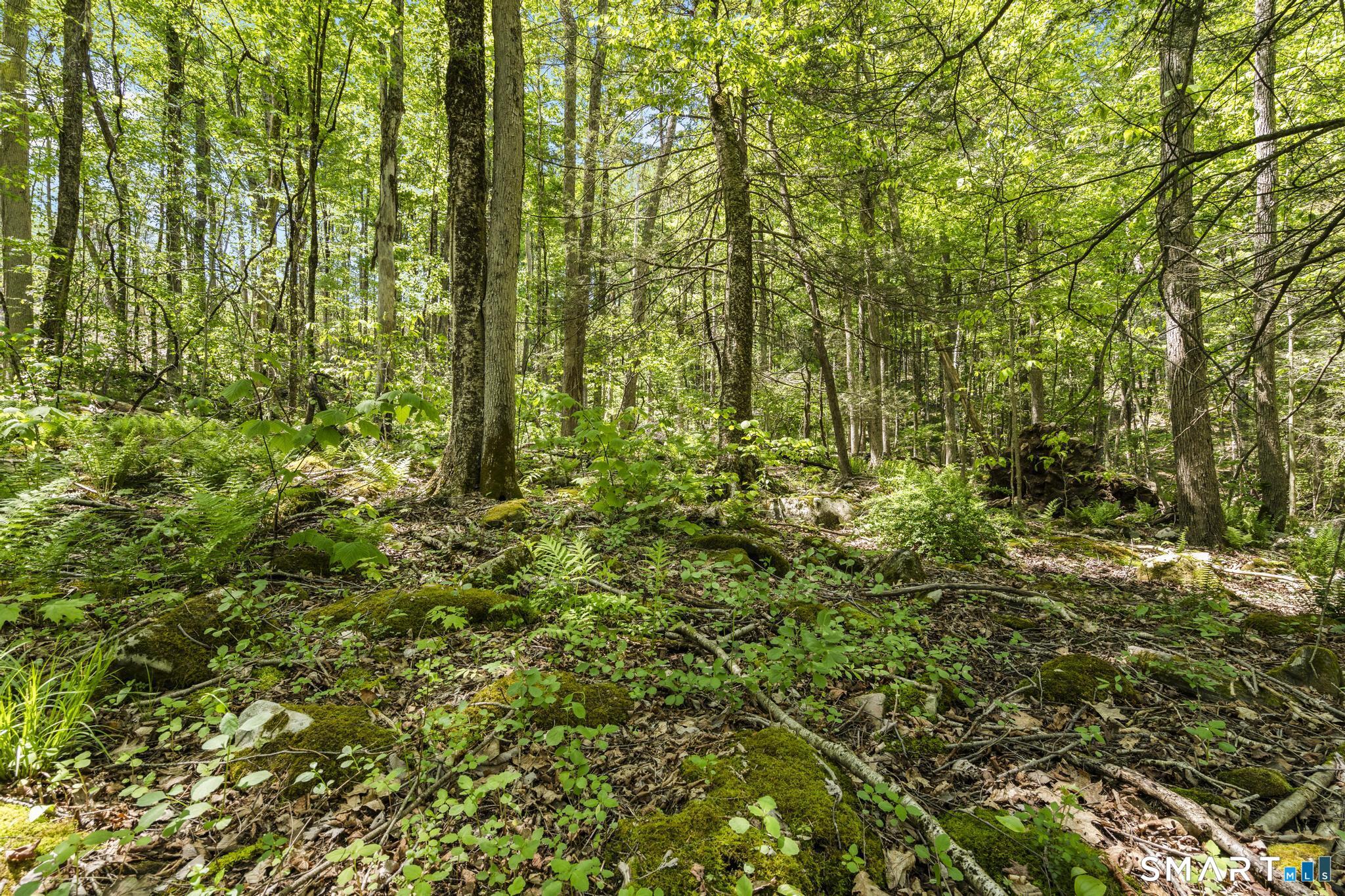 321 Colebrook Road Winchester CT 06098
