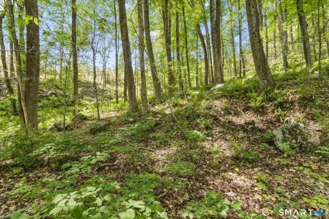 321 Colebrook Road Winchester CT 06098